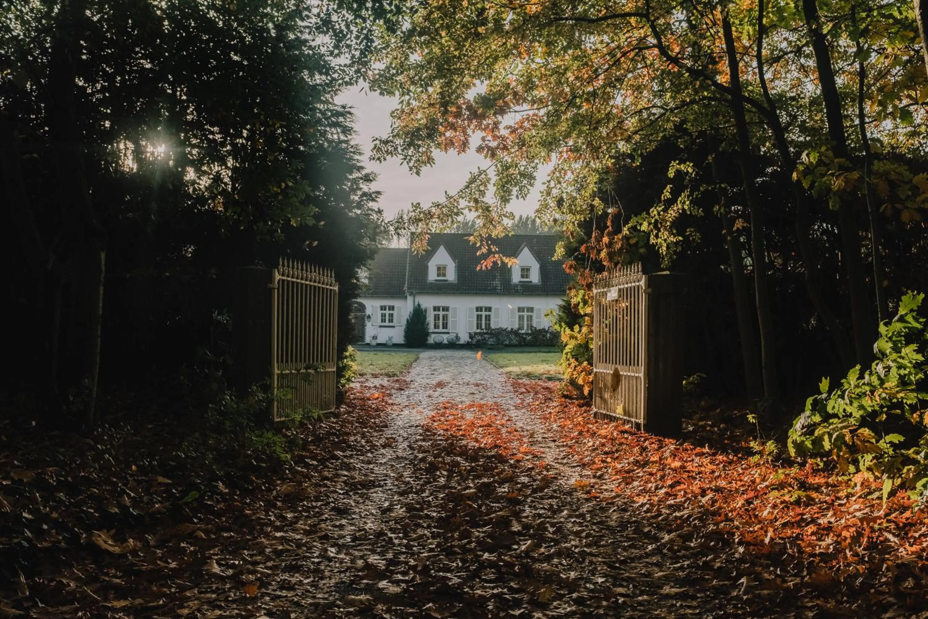 Property building in Villa Parkbos