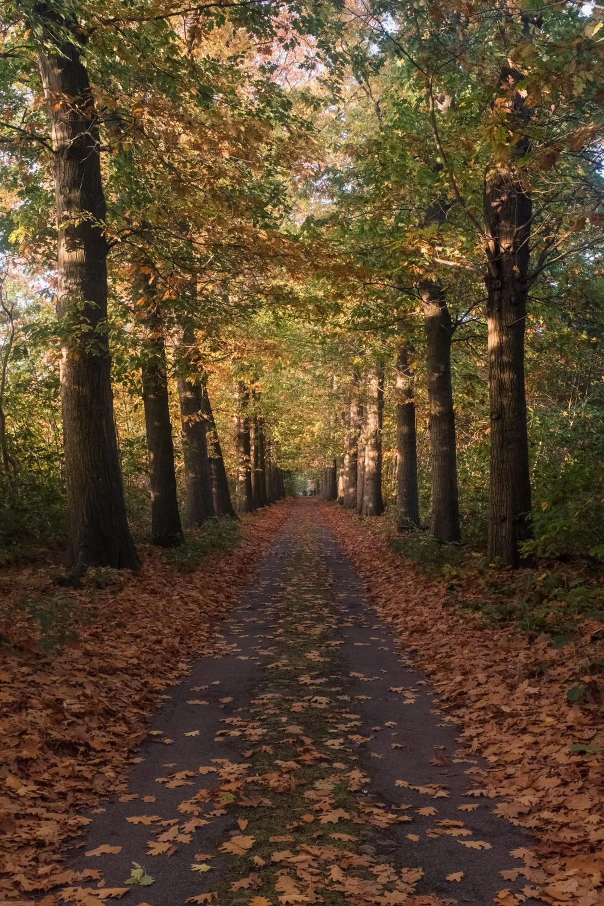 Day in Villa Parkbos