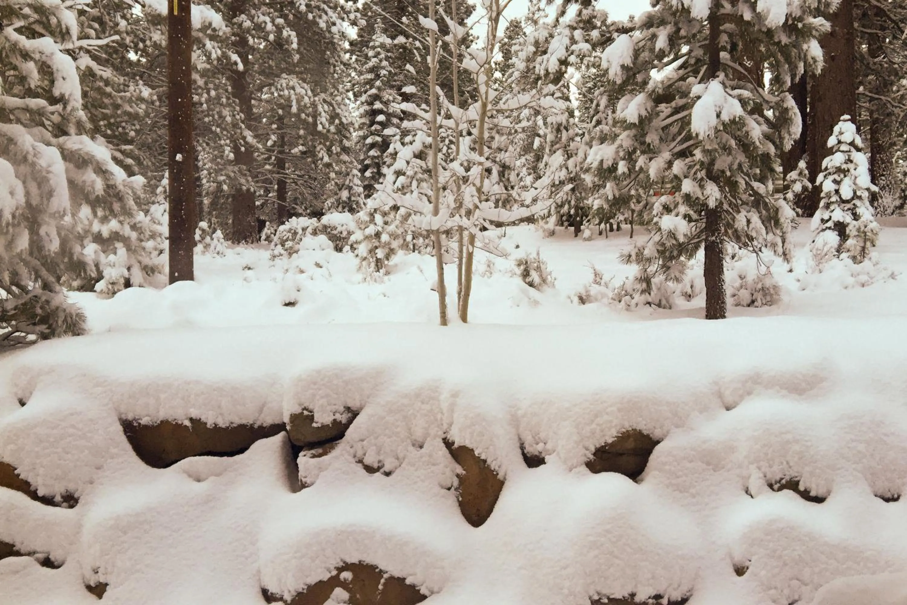 Walk-Friendly Truckee House