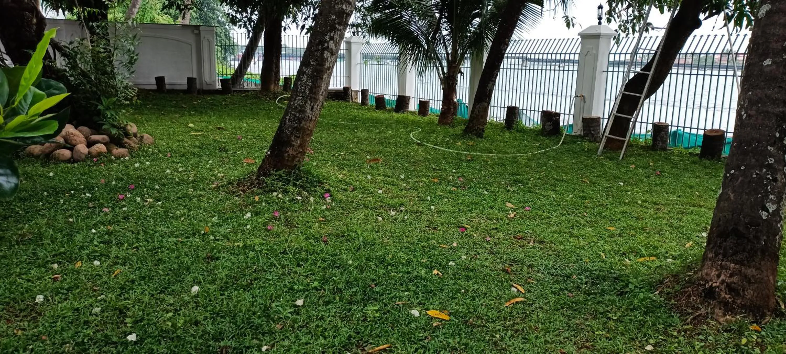 Garden in Vaiga Homes