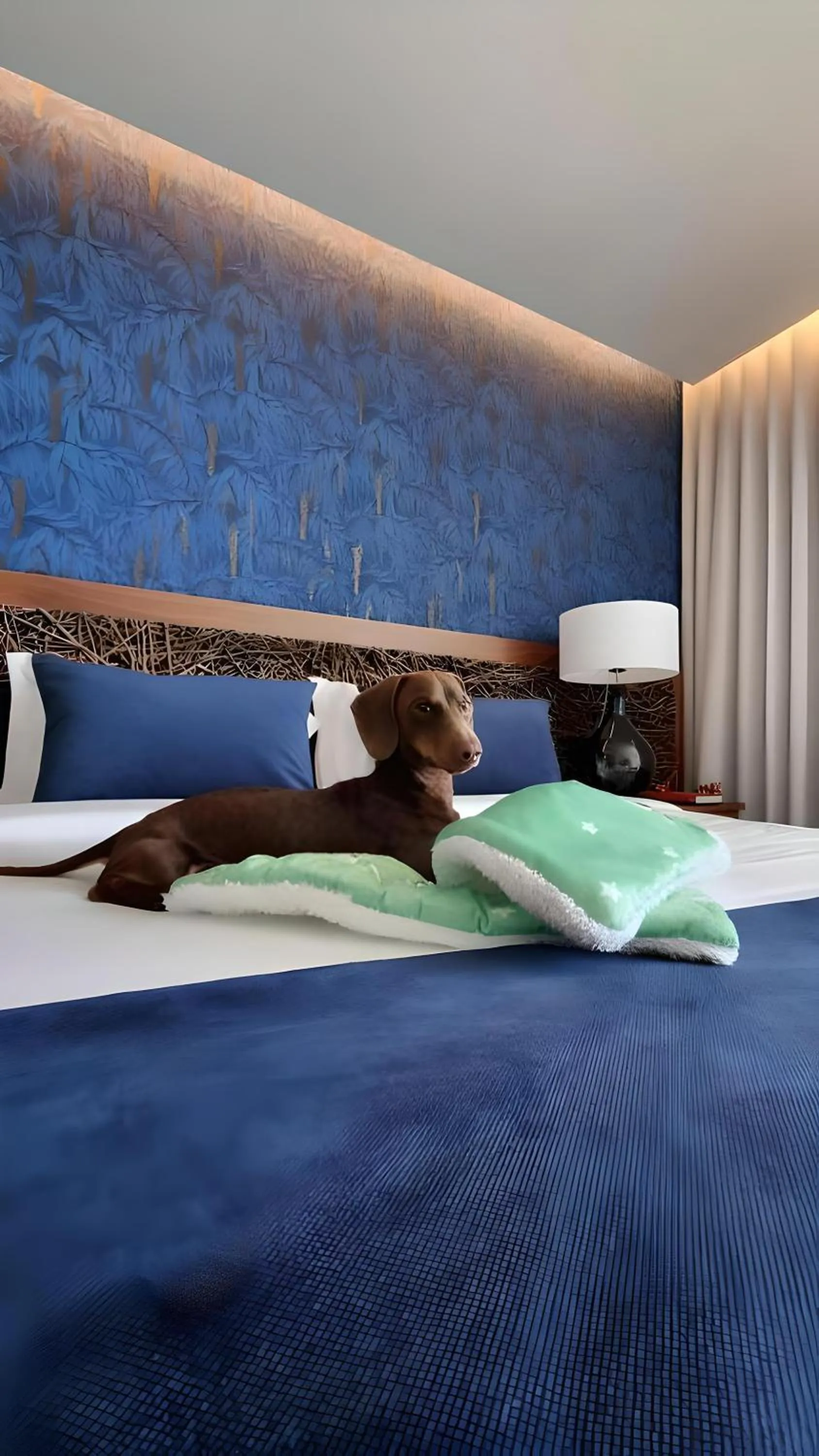 Animals, Bed in Hotel Cotto do Gatto