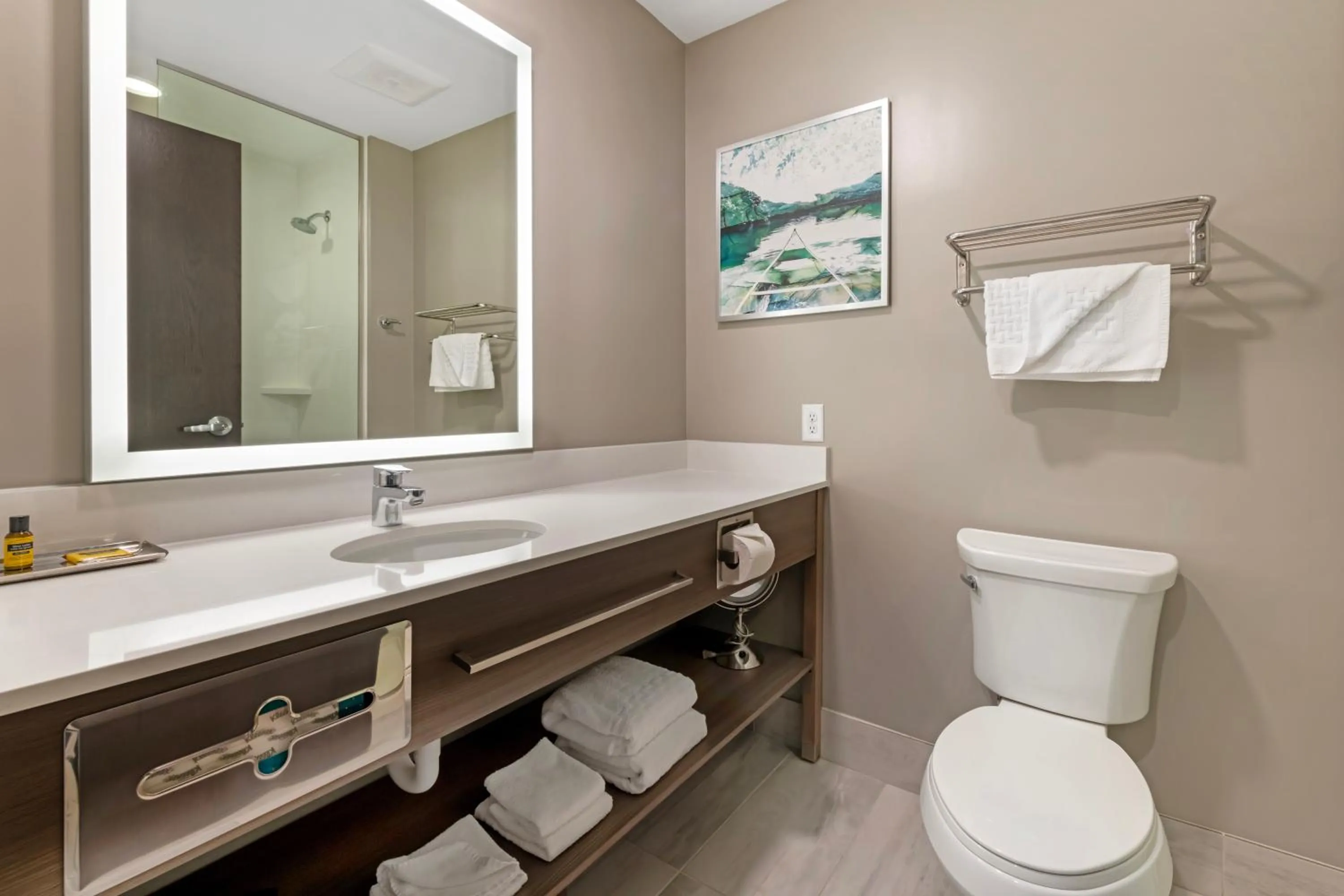 Bathroom in Best Western Plus Grand Rapids MN