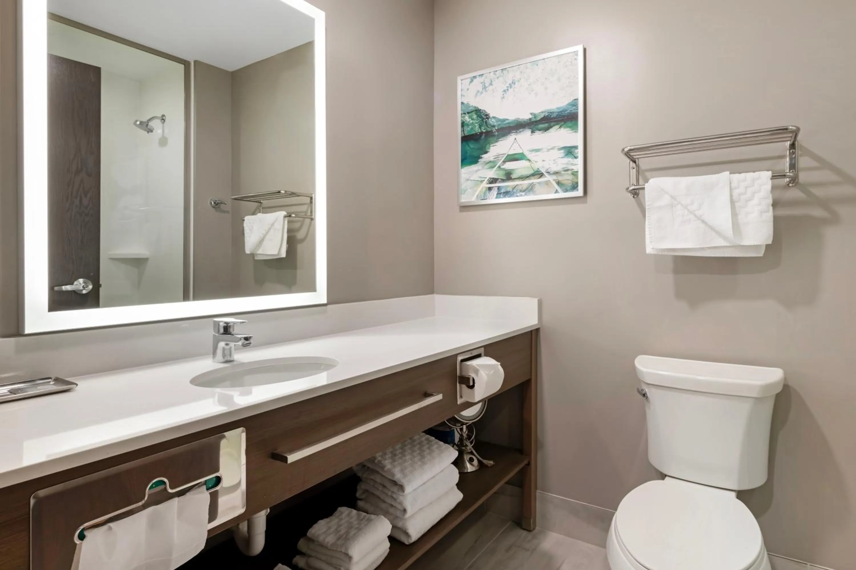 Bathroom in Best Western Plus Grand Rapids MN