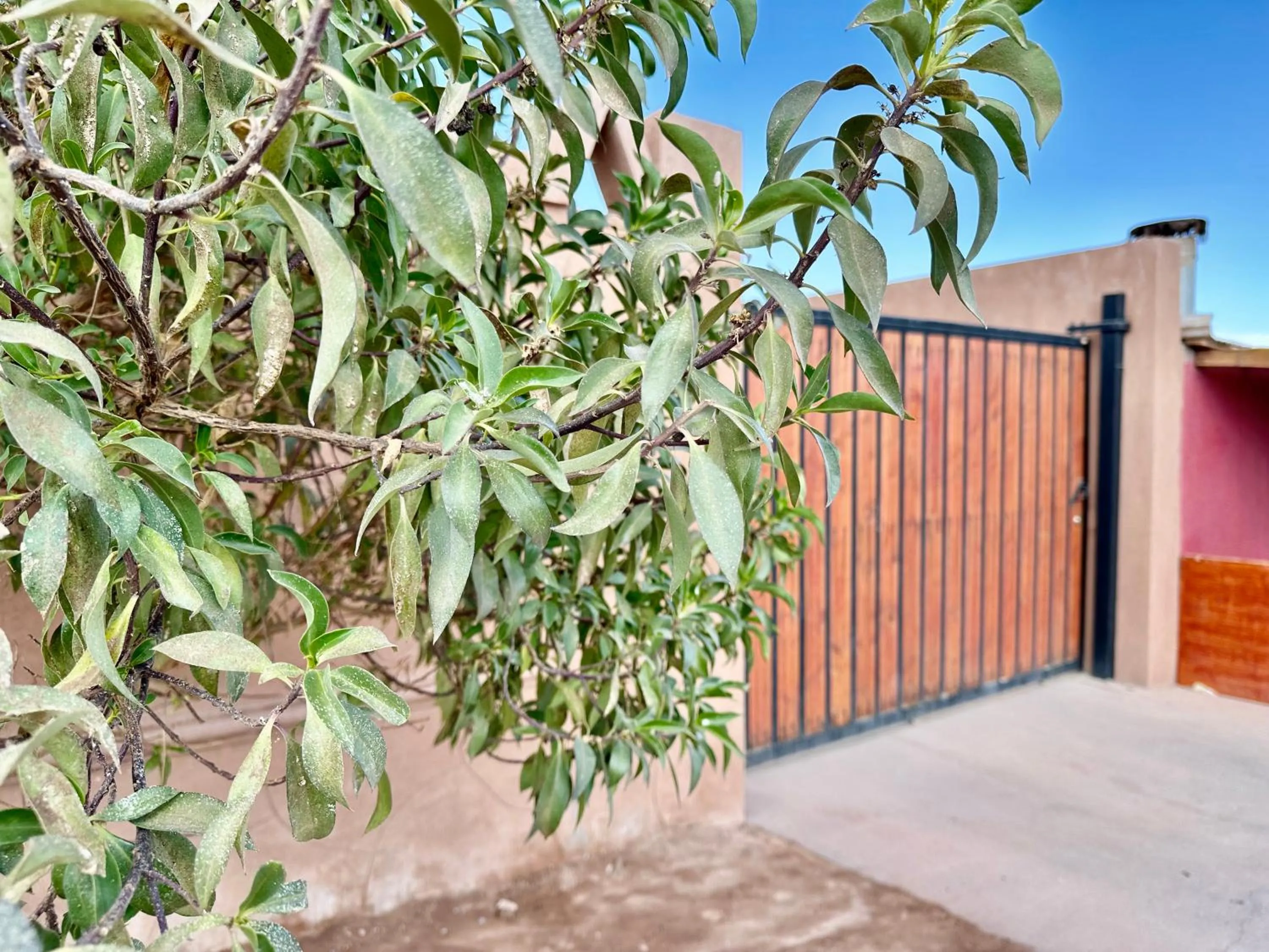 Off site in Hostal Qachi Chentura
