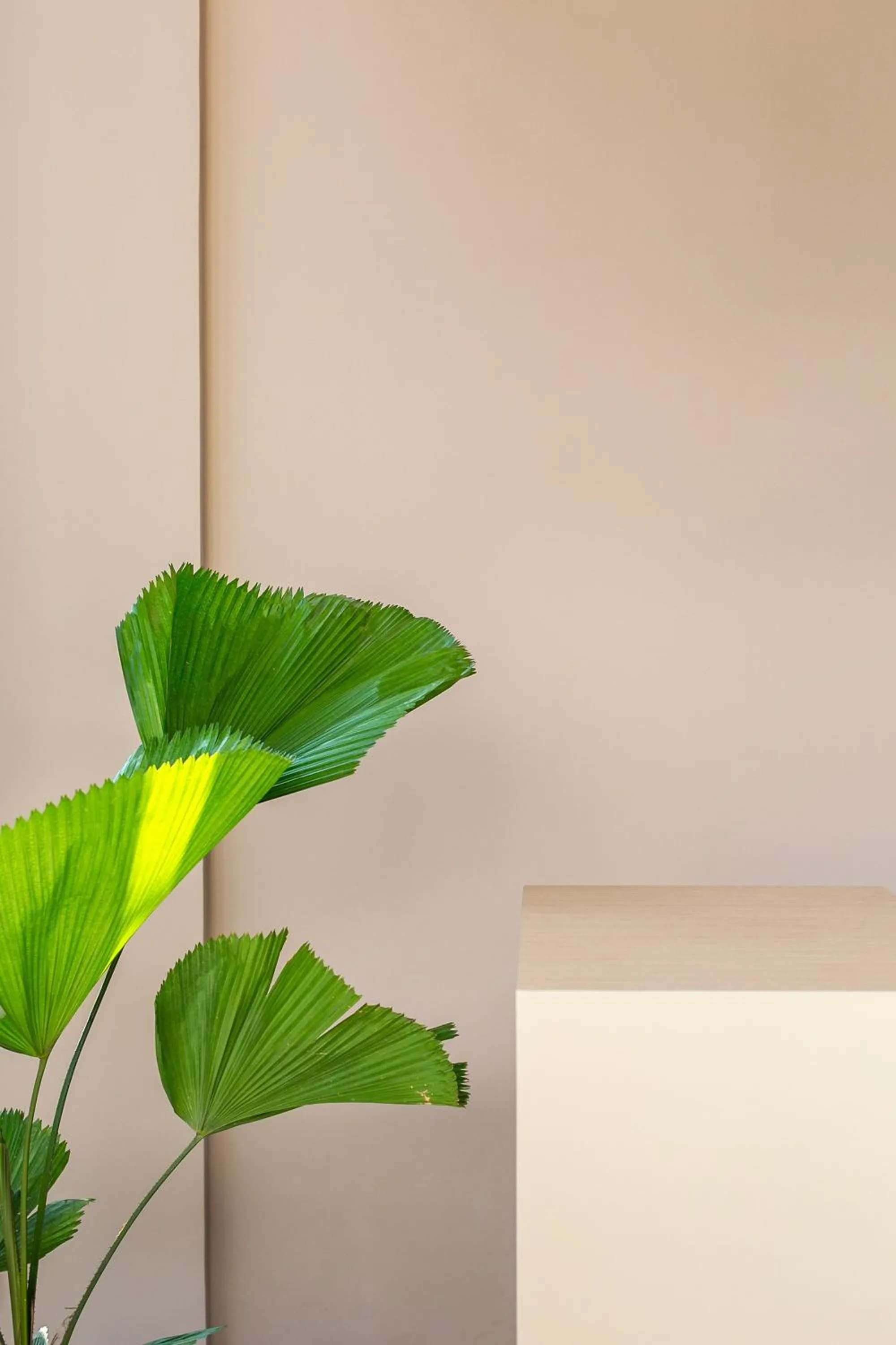 Decorative detail in Coco & Pineapple Pants Hostel