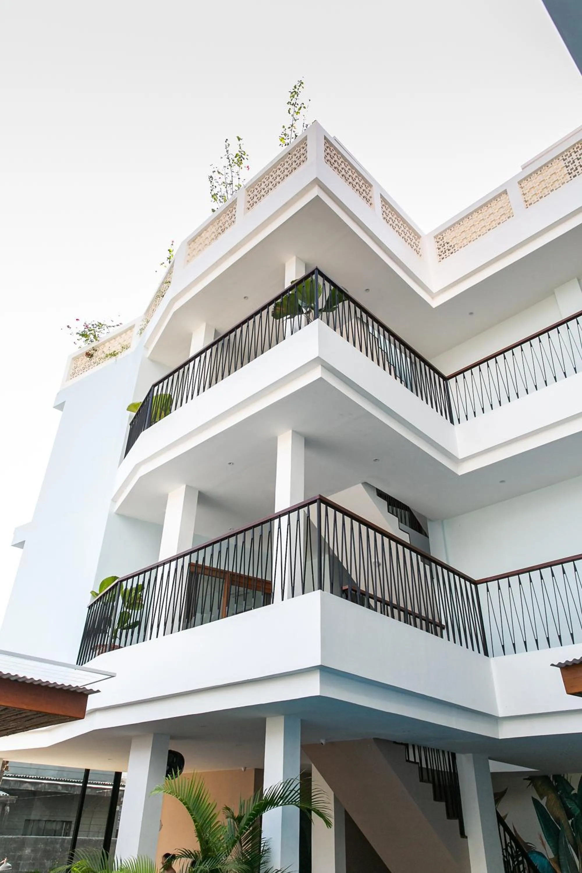 Property building in Coco & Pineapple Pants Hostel