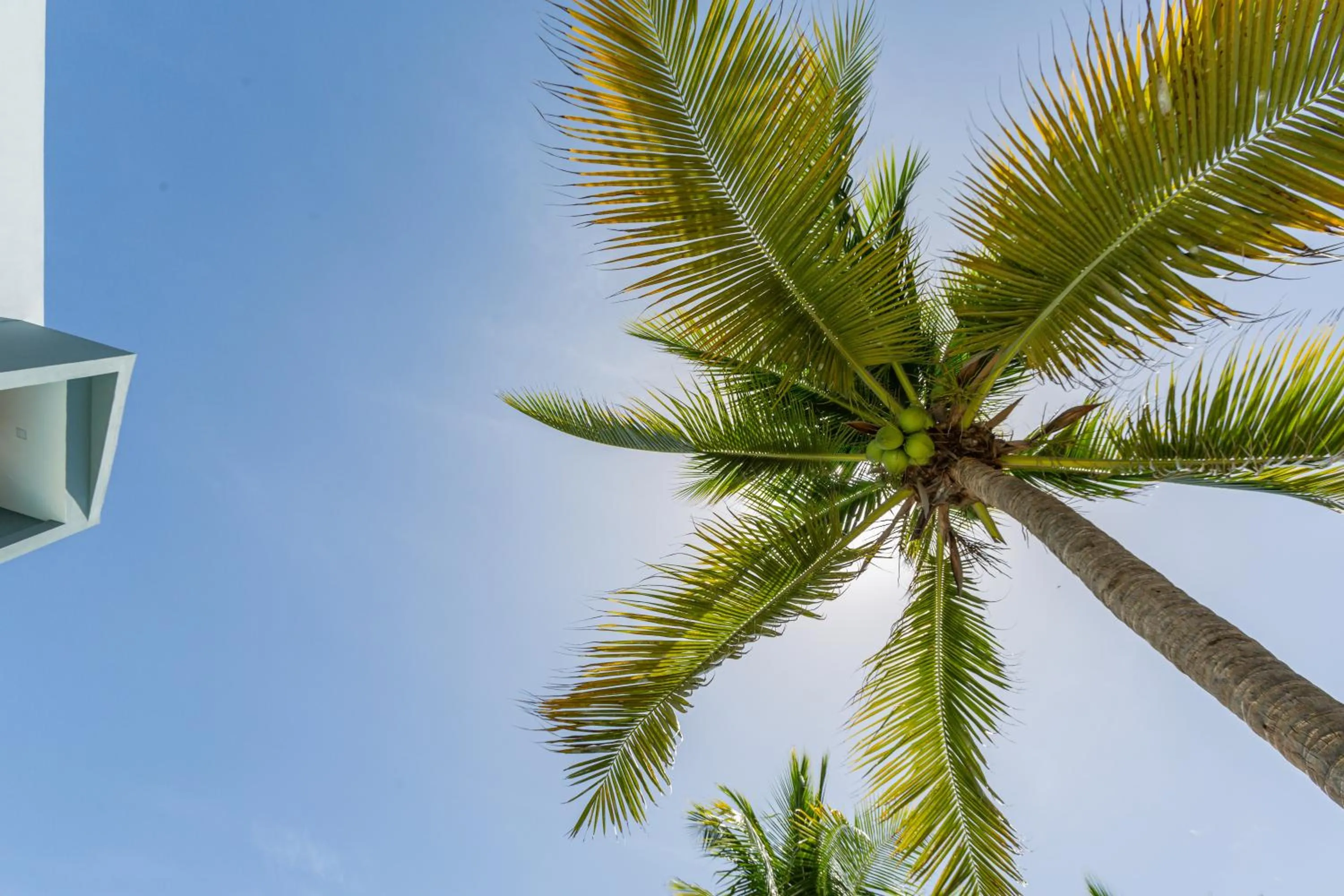 Skylight Suites Hotel