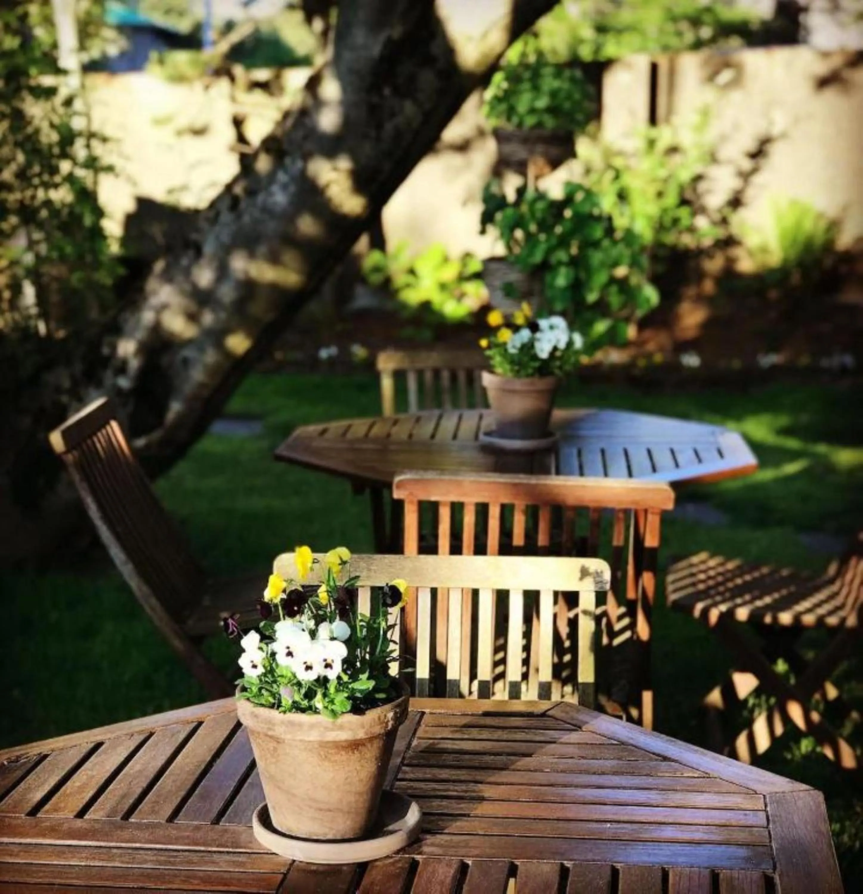 Garden in Snorri's Guesthouse