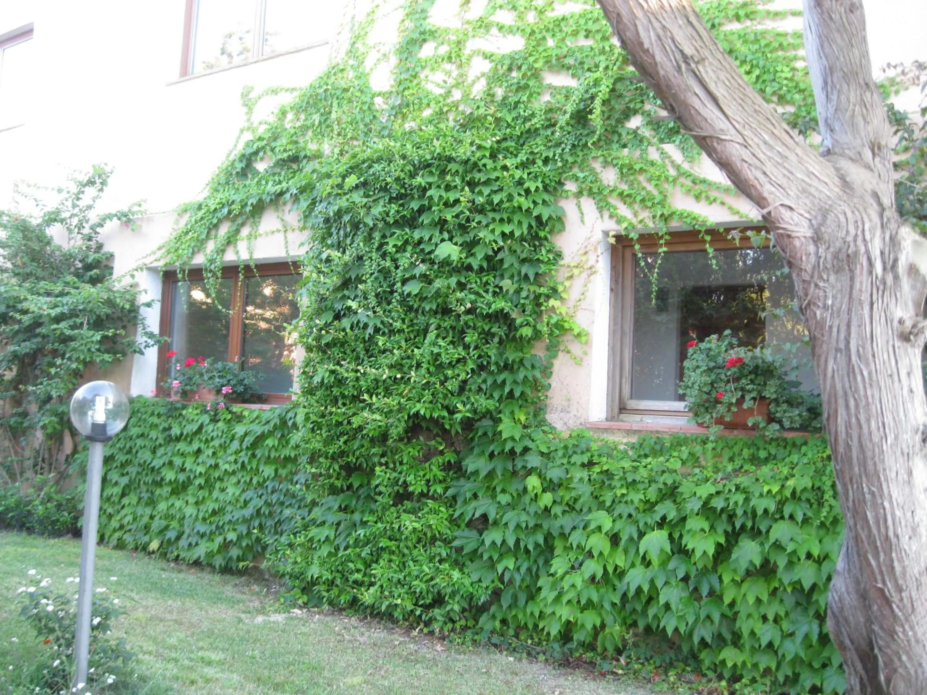 Facade/entrance in Hotel Valdiola