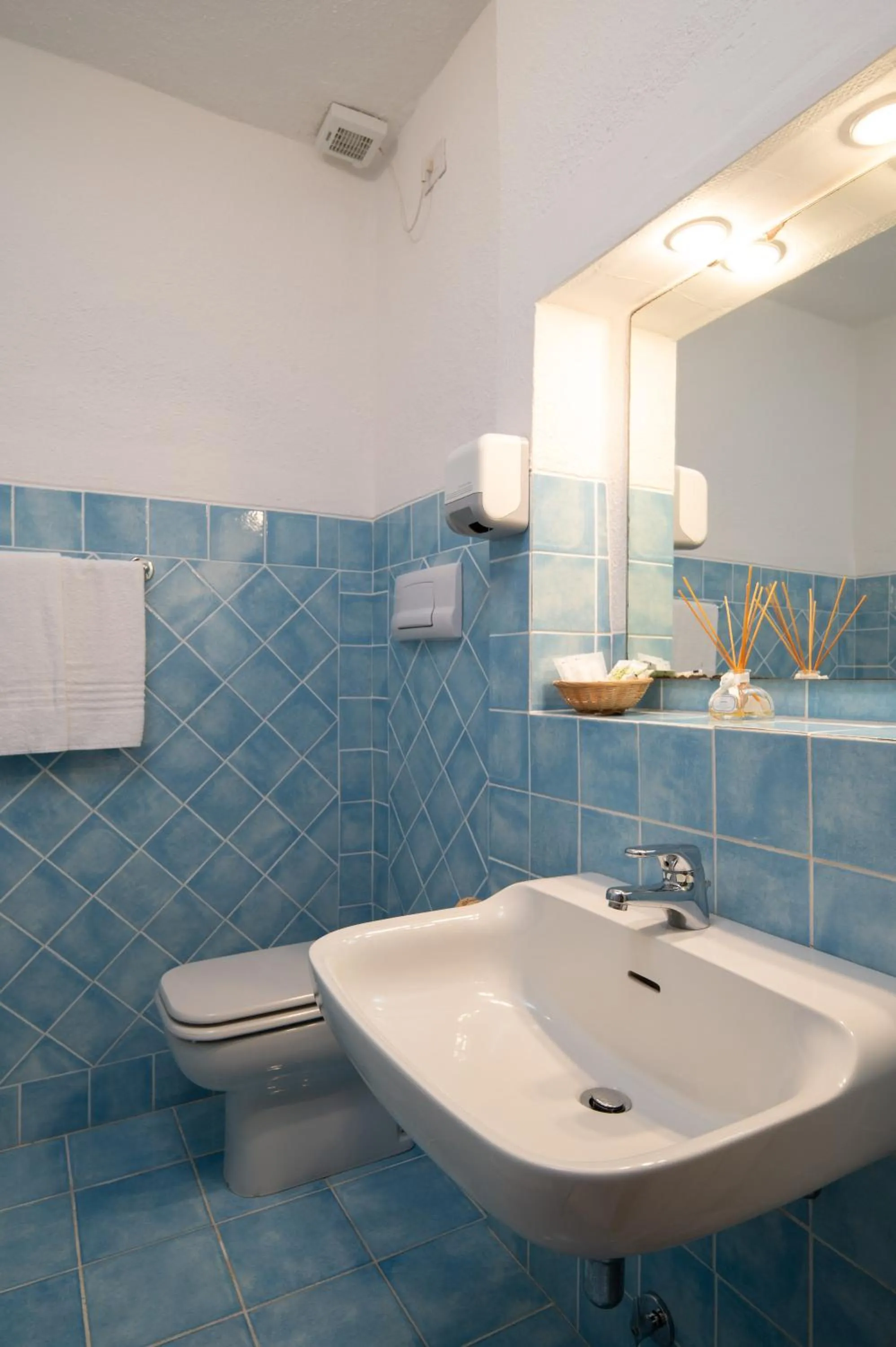 Shower in Hotel Valdiola