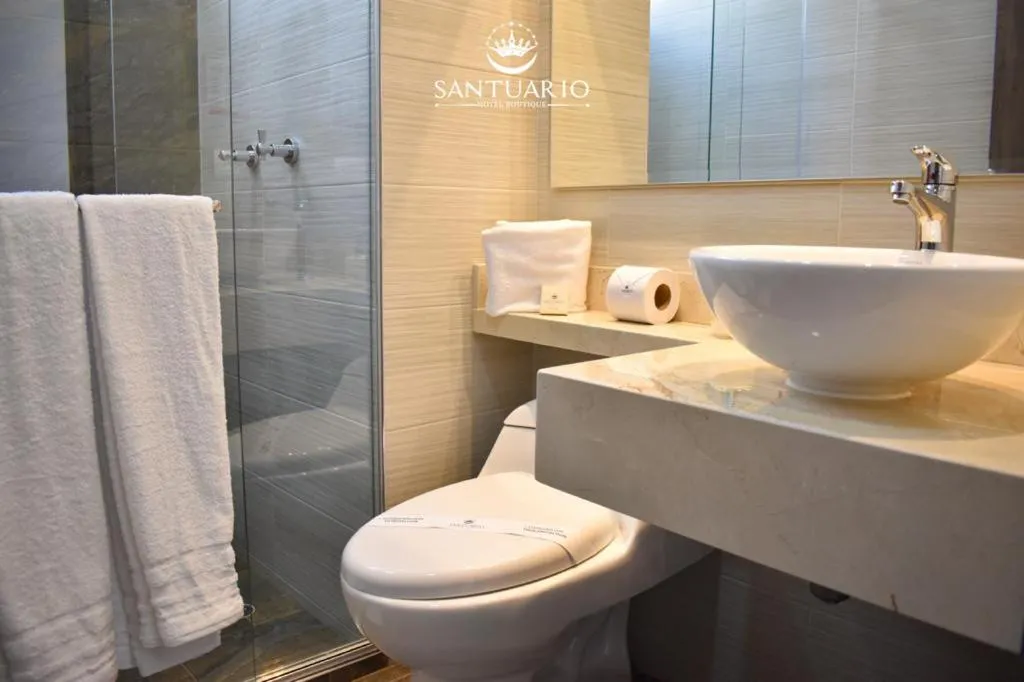 Deluxe Double Room - single occupancy in HOTEL SANTUARIO