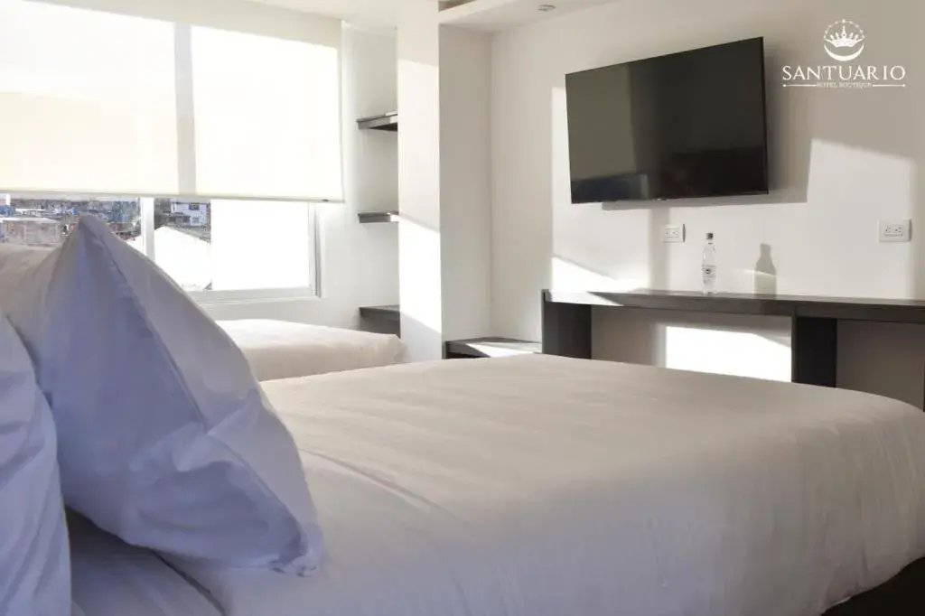 Deluxe Double or Twin Room in HOTEL SANTUARIO Deluxe Double or Twin Room in HOTEL SANTUARIO
