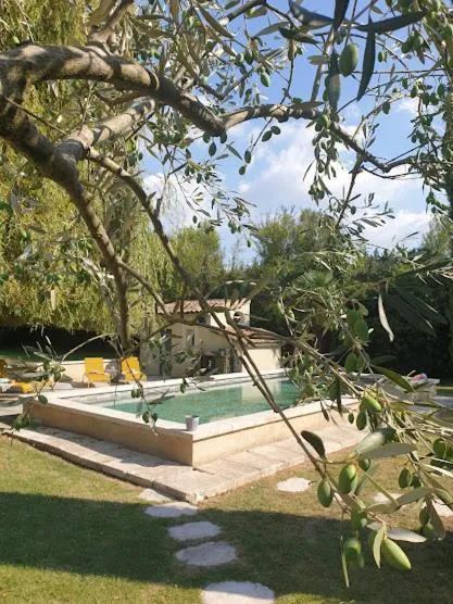 Swimming pool in Mas des muses