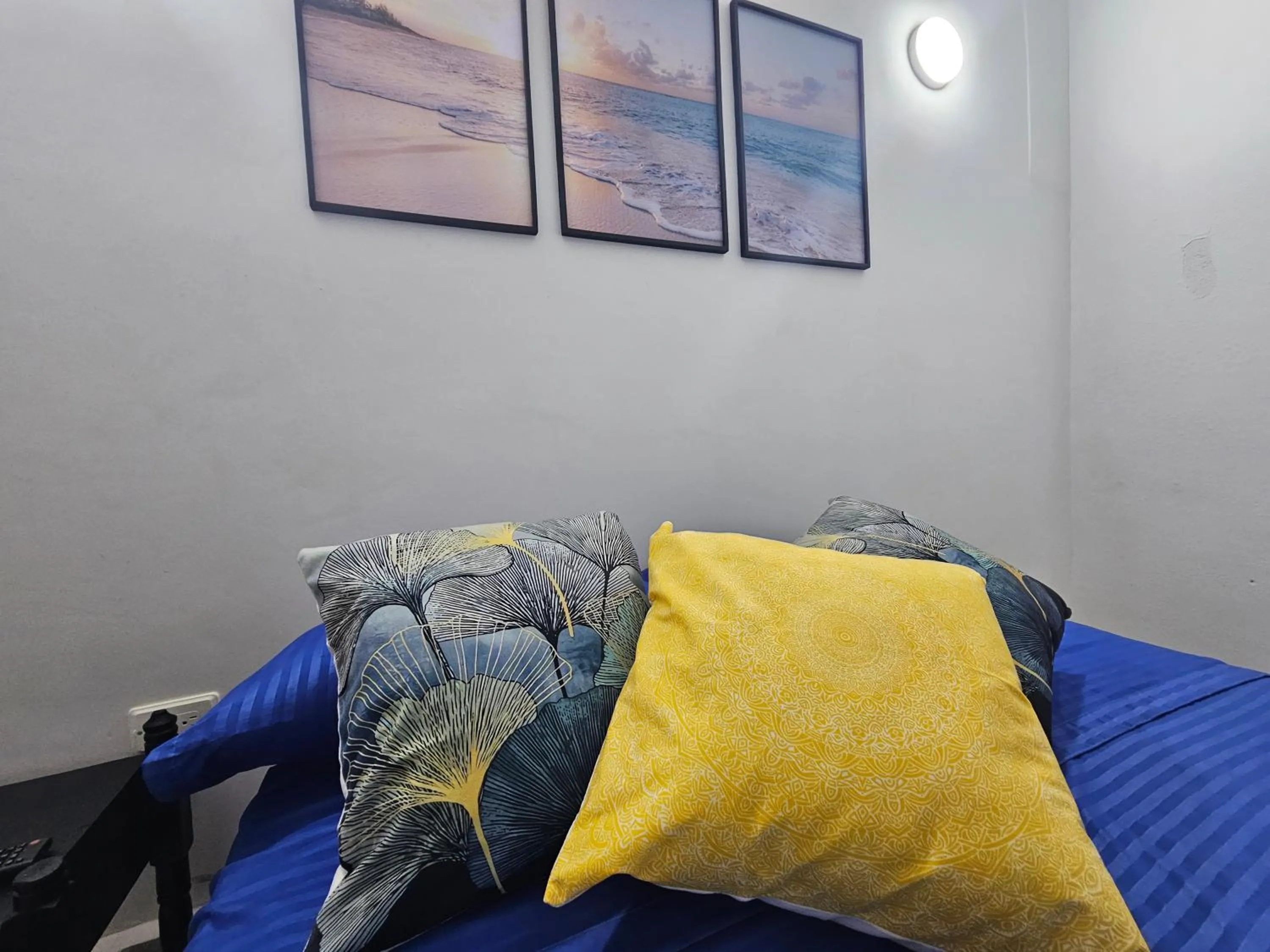 Double Room - single occupancy in Posada Cedar Valley