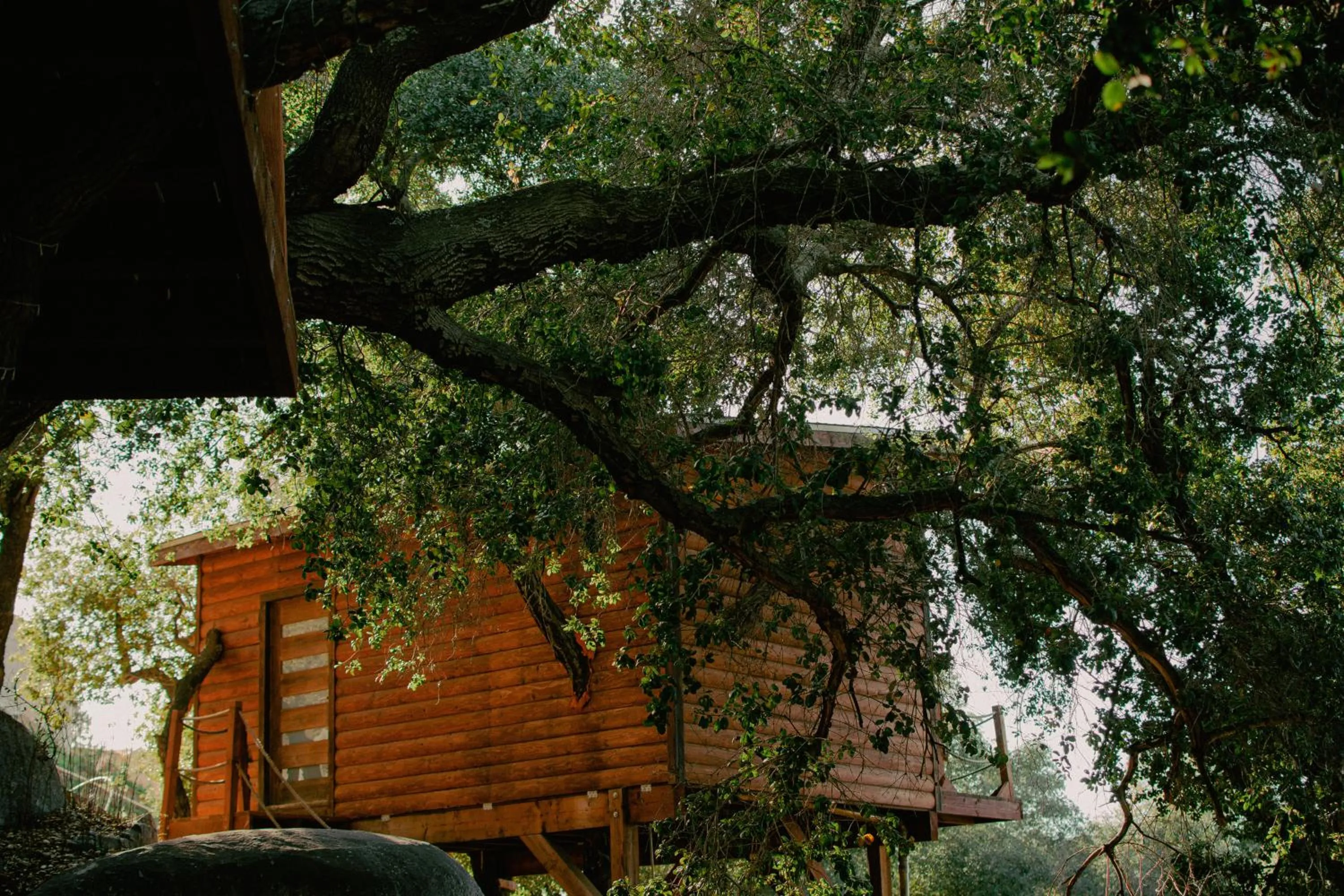 Off site in Boskenvid Hotel - Romantic Treehouses & Skypool