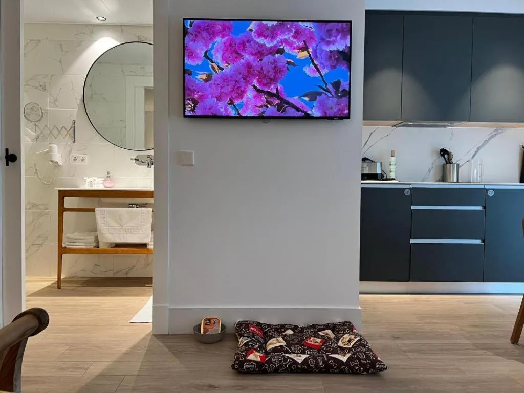 Photo of the whole room in Apartamentos Turísticos La Plaza