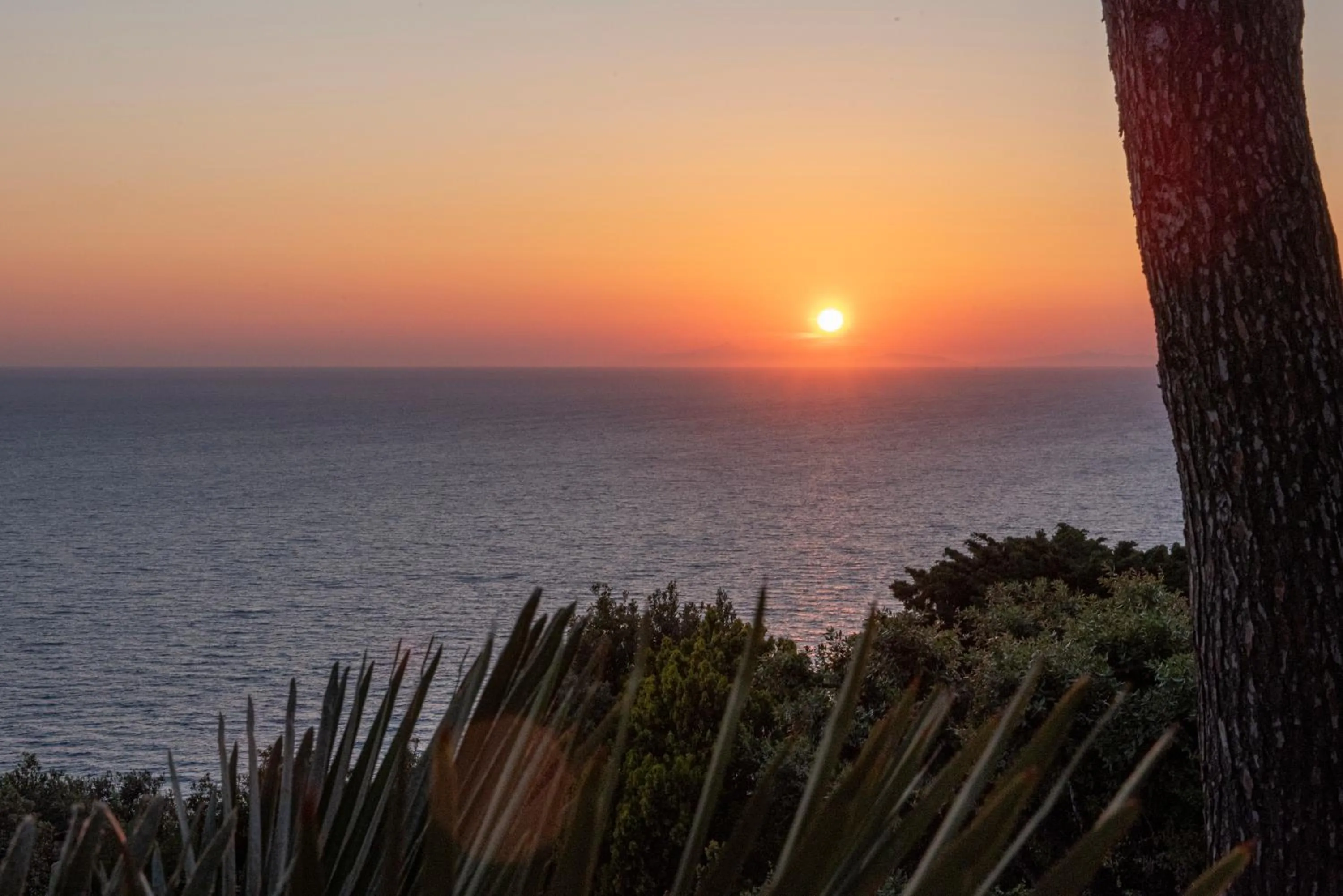 Natural landscape in Boutique Hotel Torre Di Cala Piccola