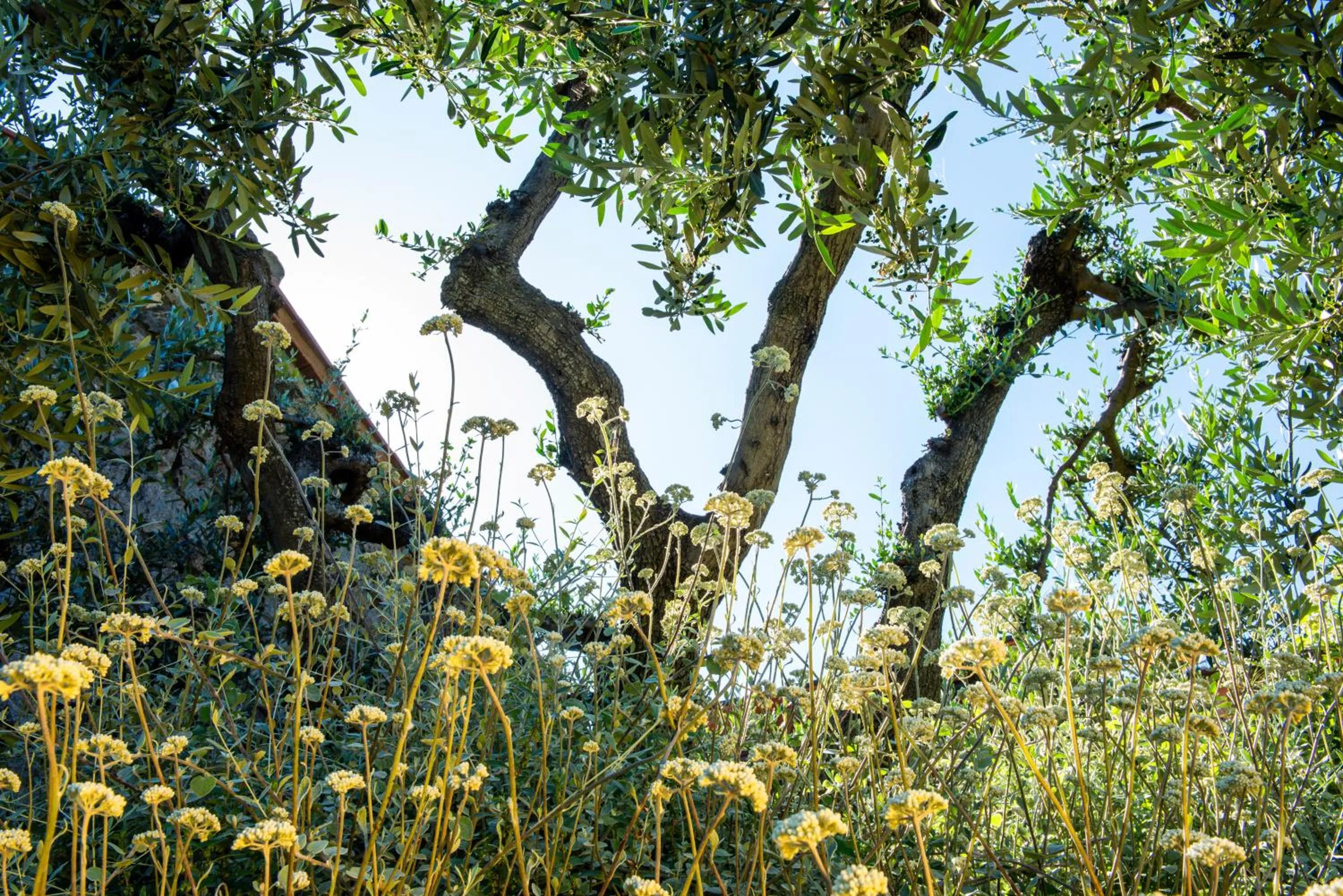 Spring in Boutique Hotel Torre Di Cala Piccola
