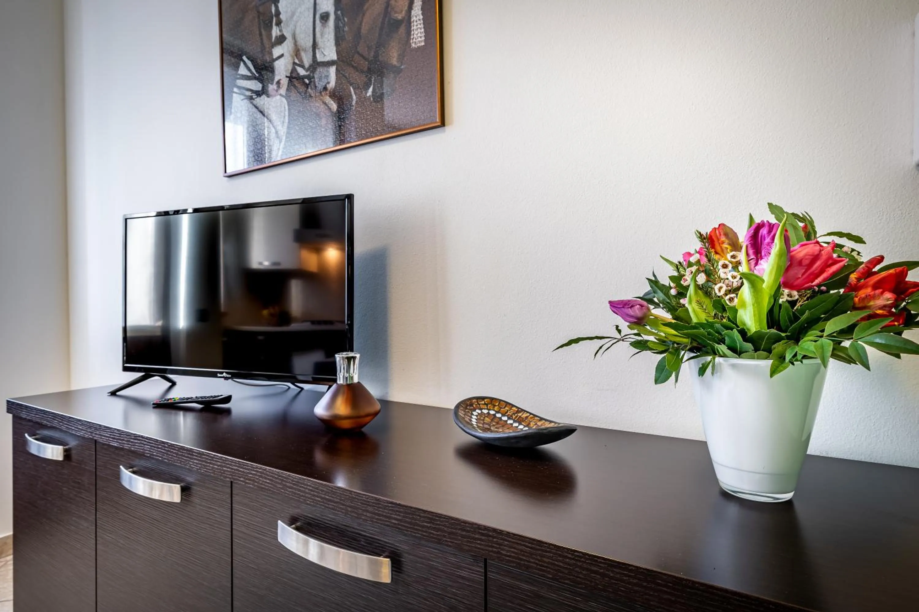 TV and multimedia in Residence Arianna