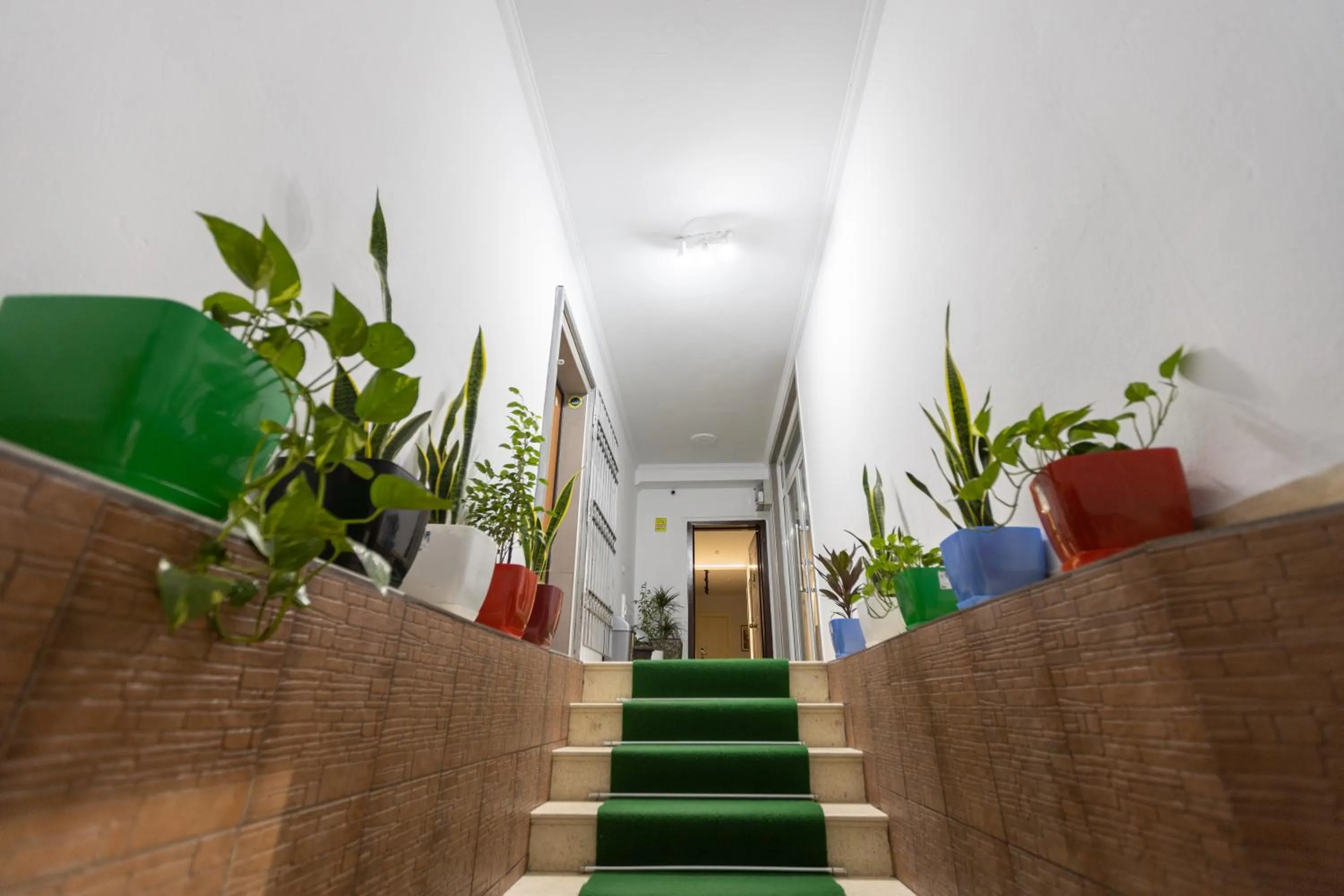 Property building in Palm Side Hotel