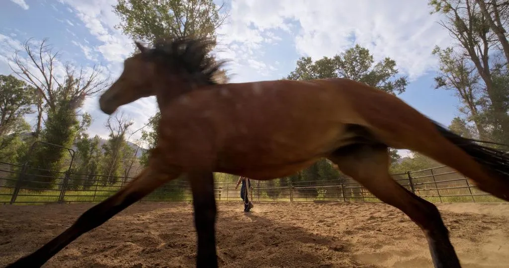 Horse-riding in The Sylvan Lodge at Snake River Sporting Club