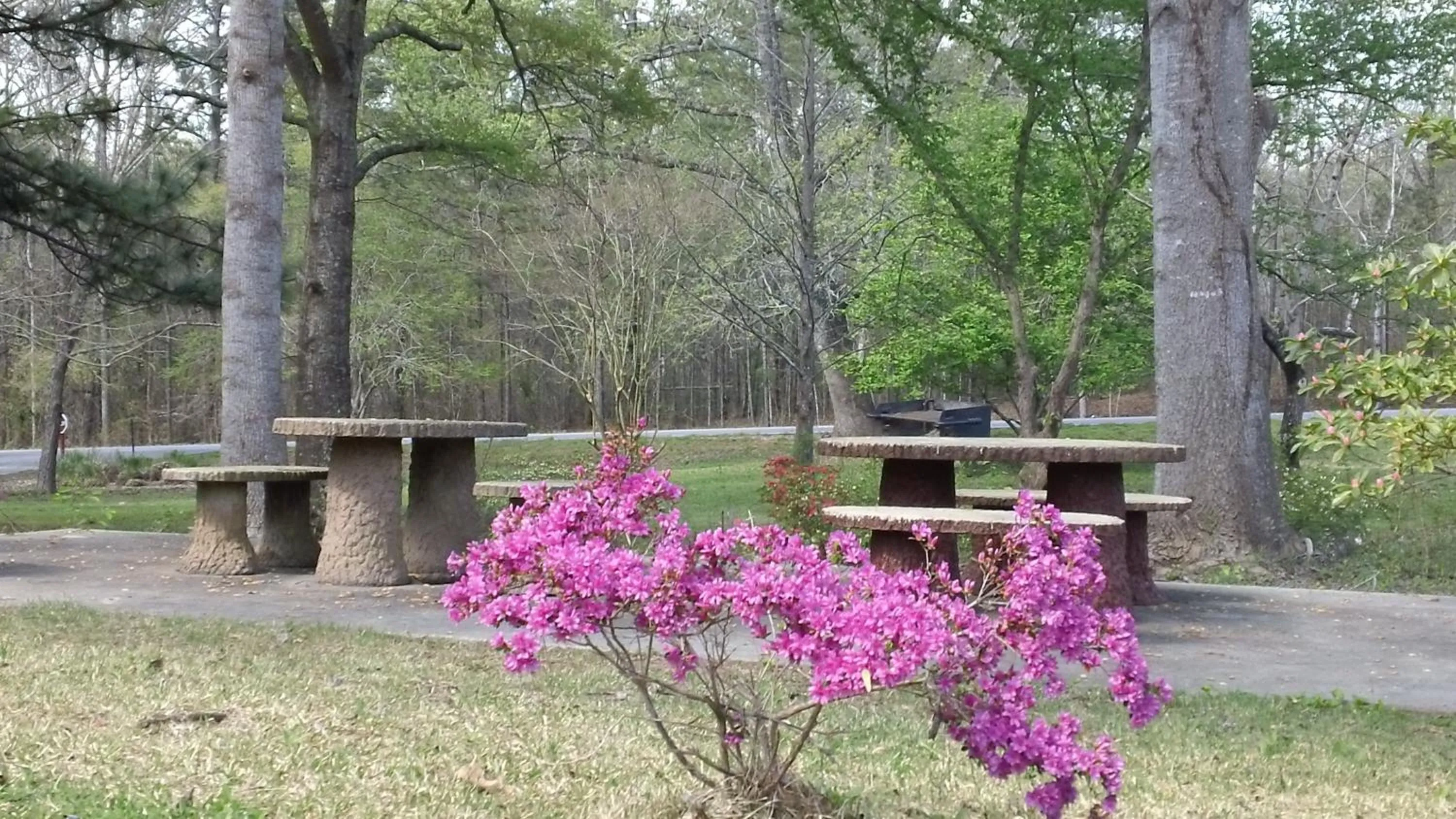 BBQ facilities in Valley Inn - Hamilton Ga