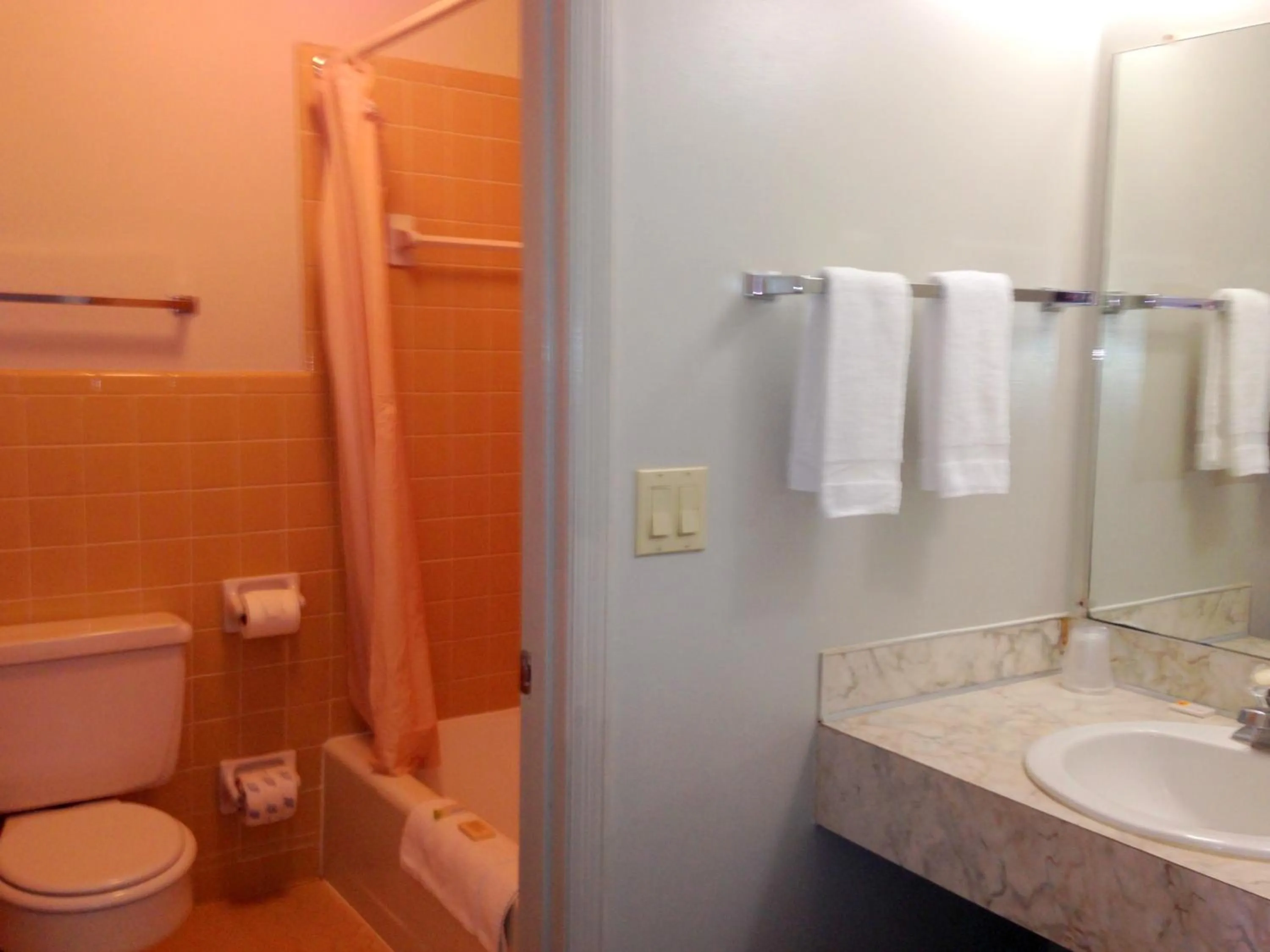 Bathroom in Valley Inn - Hamilton Ga