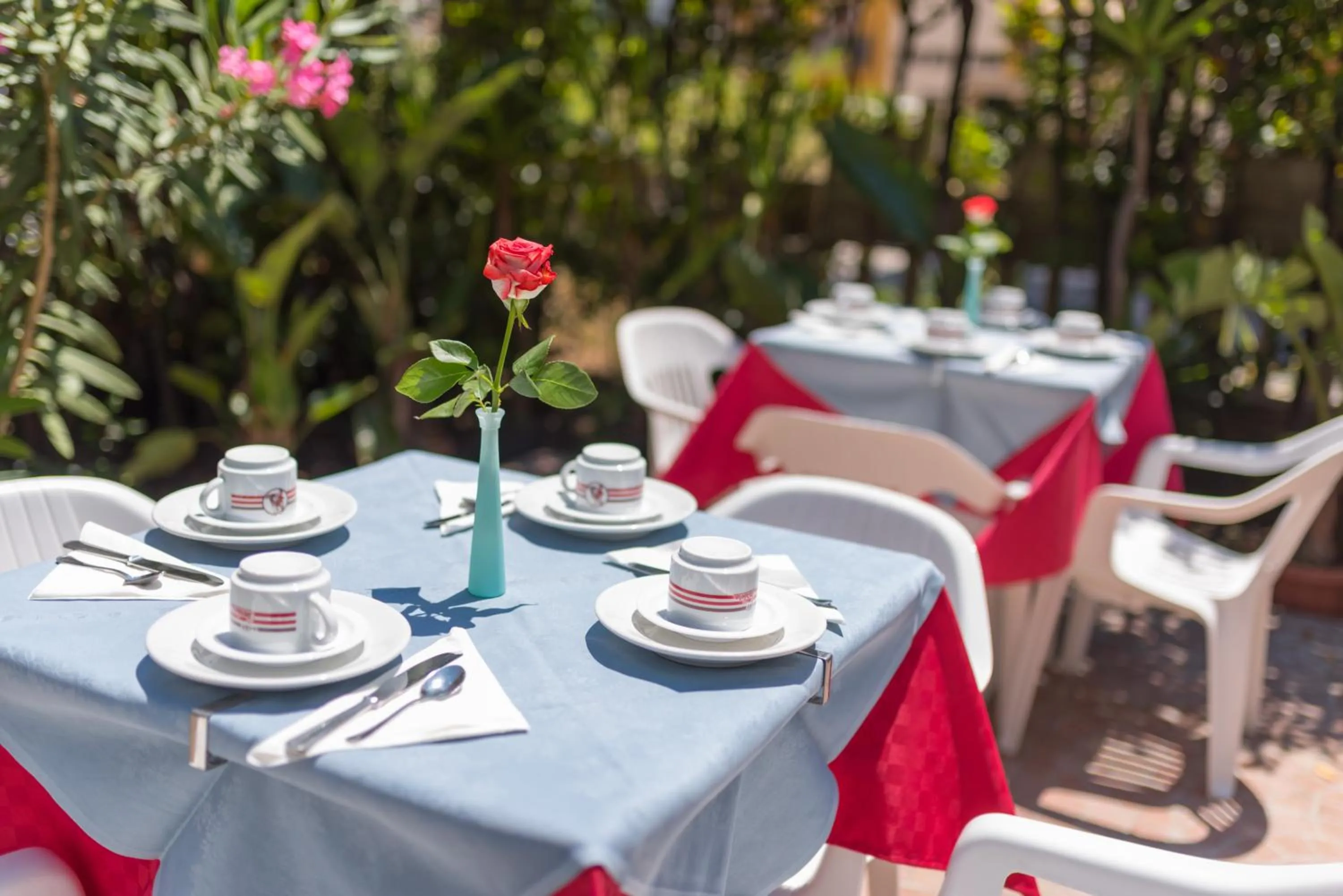 Garden in La Piramide