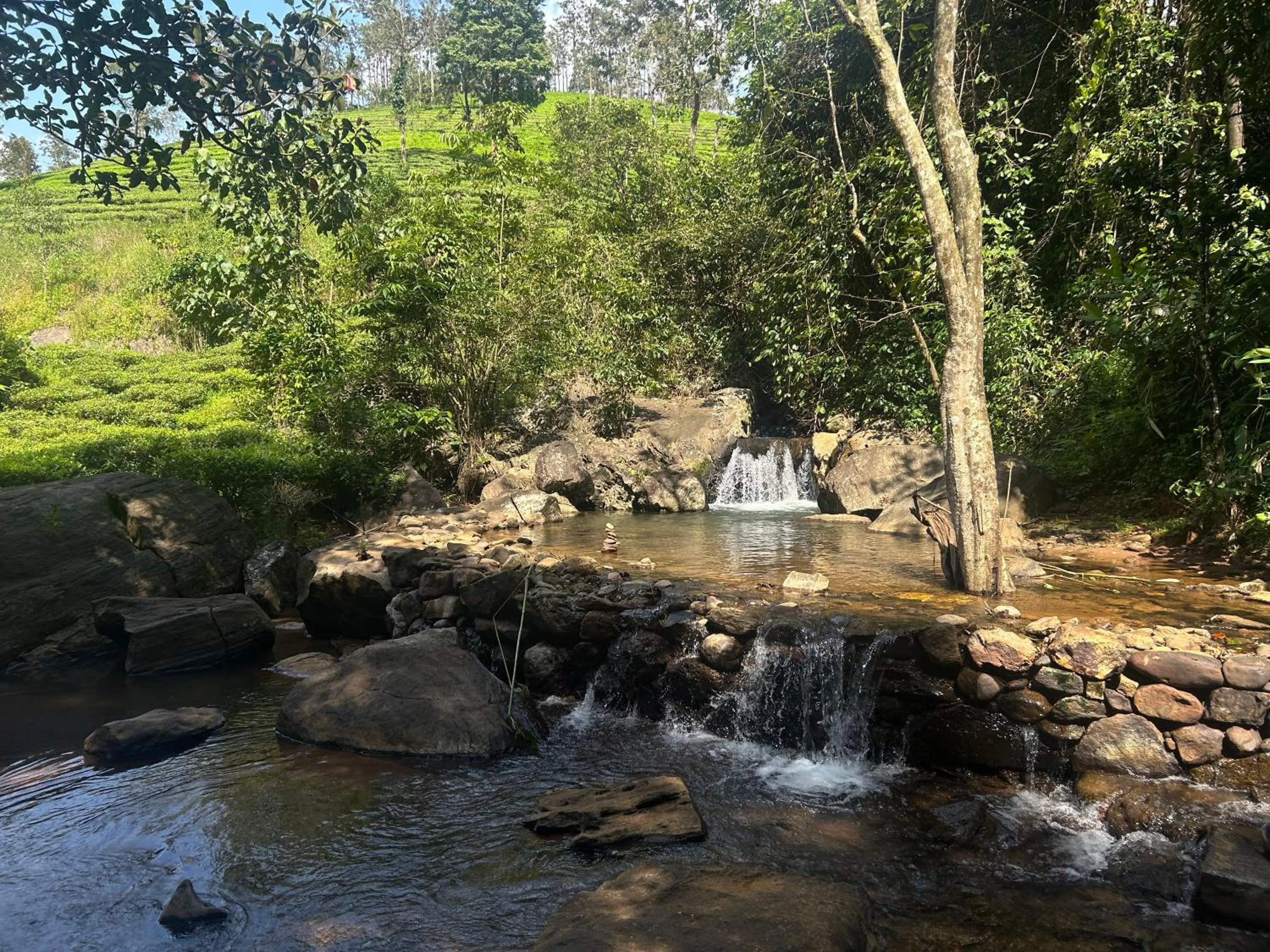 Natural landscape in Flora Vythiri Resort Wayanad