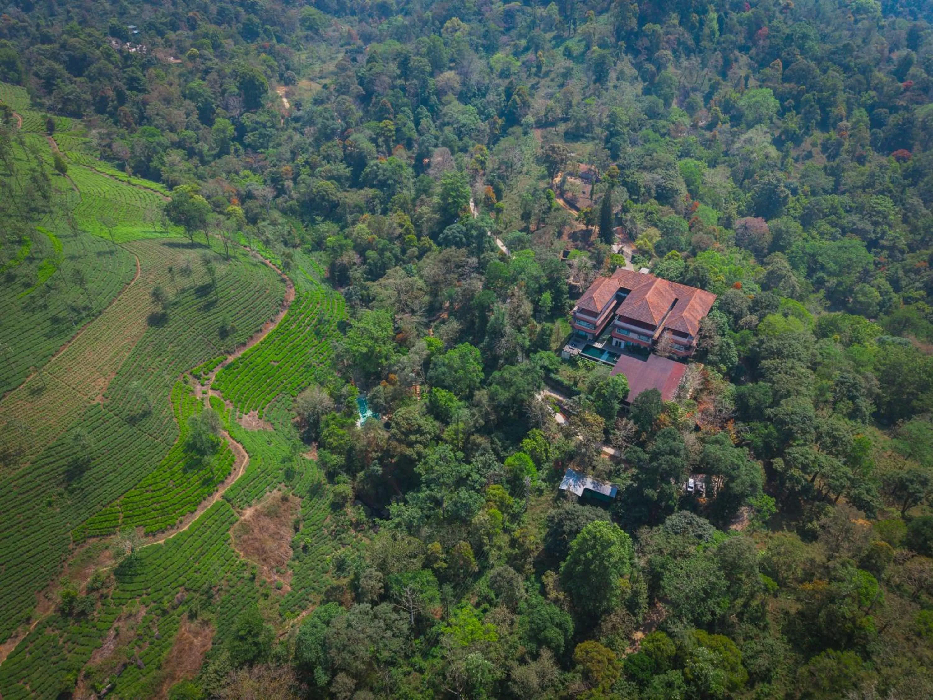 Natural landscape in Flora Vythiri Resort Wayanad