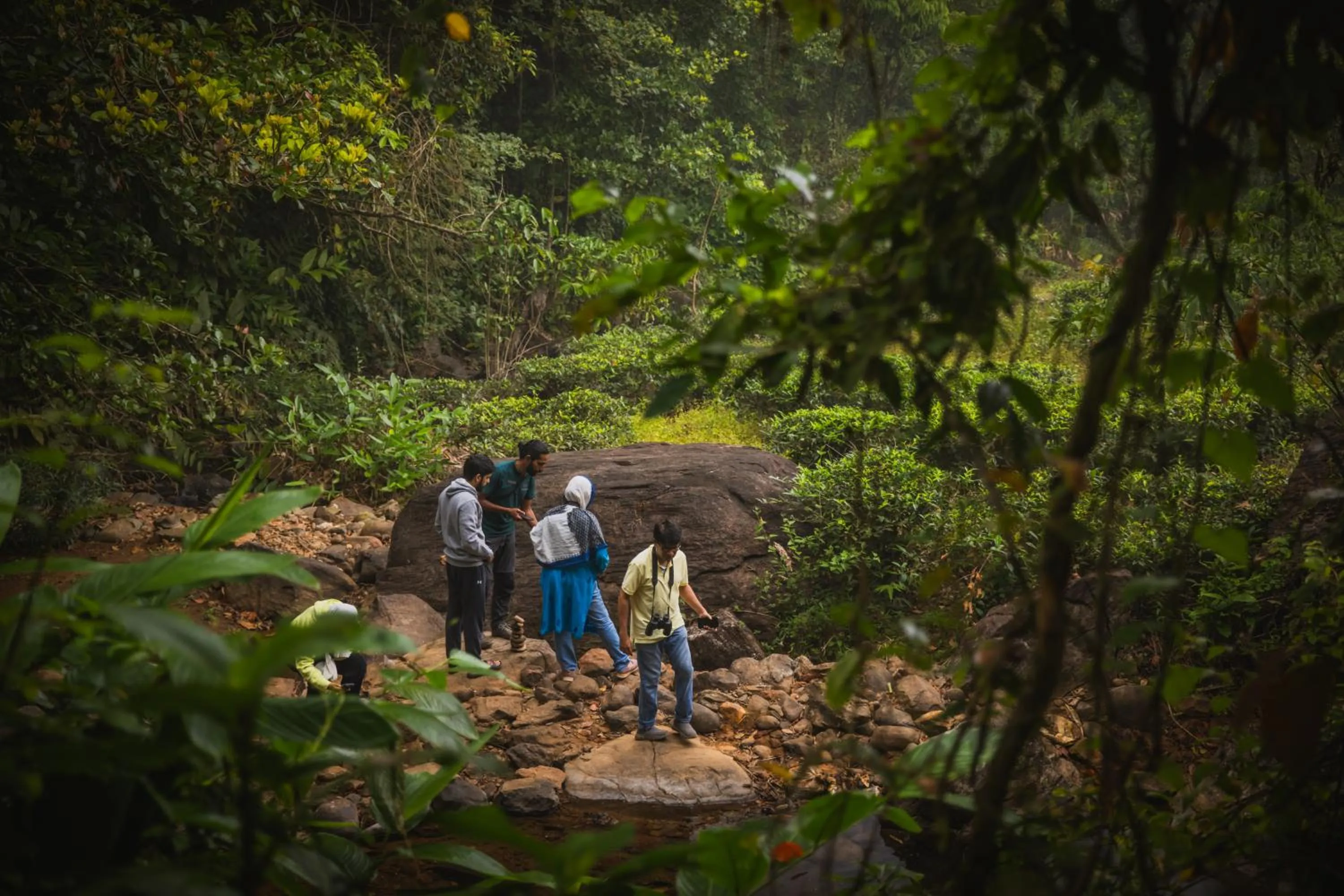Activities in Flora Vythiri Resort Wayanad