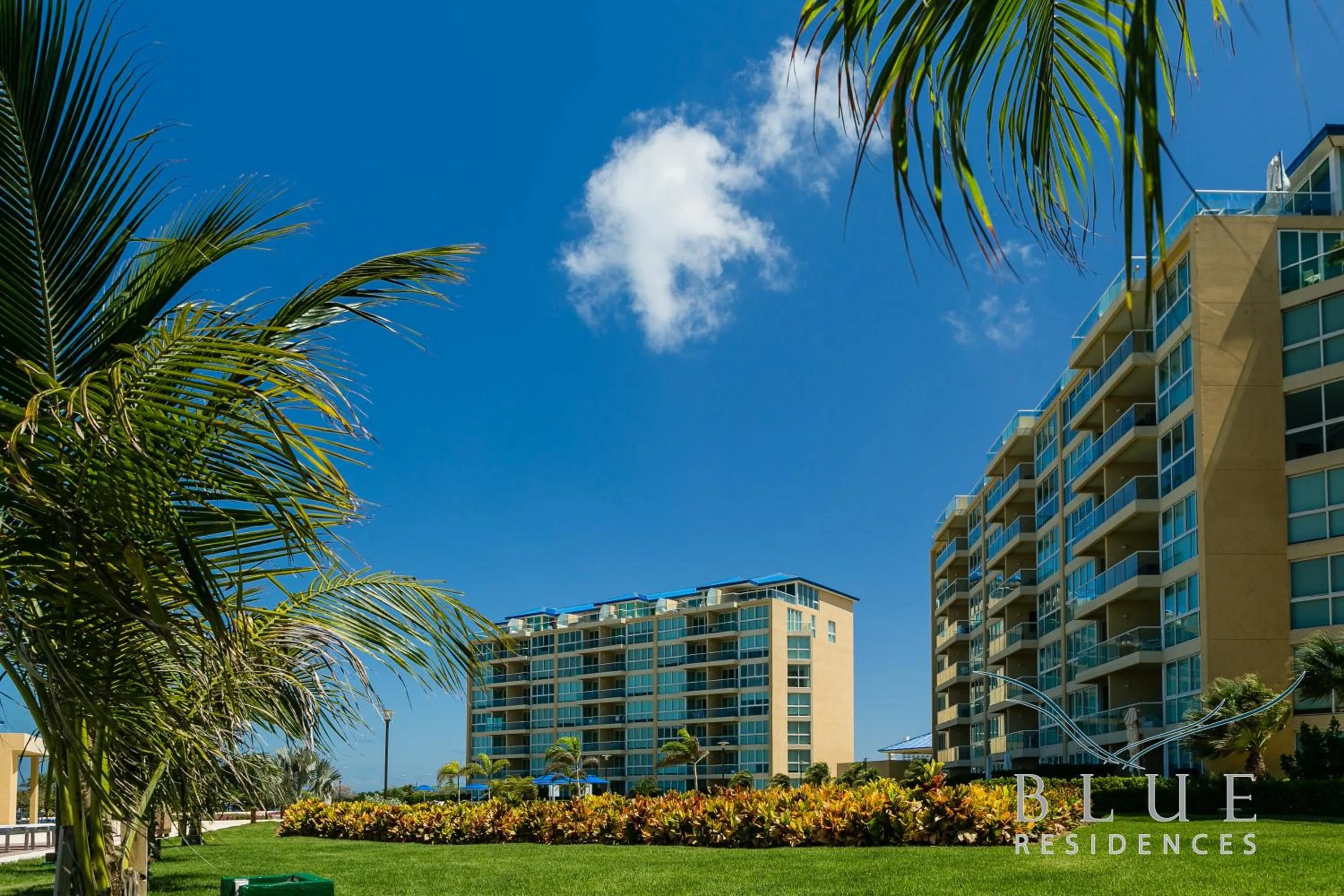 Garden in Blue Residences