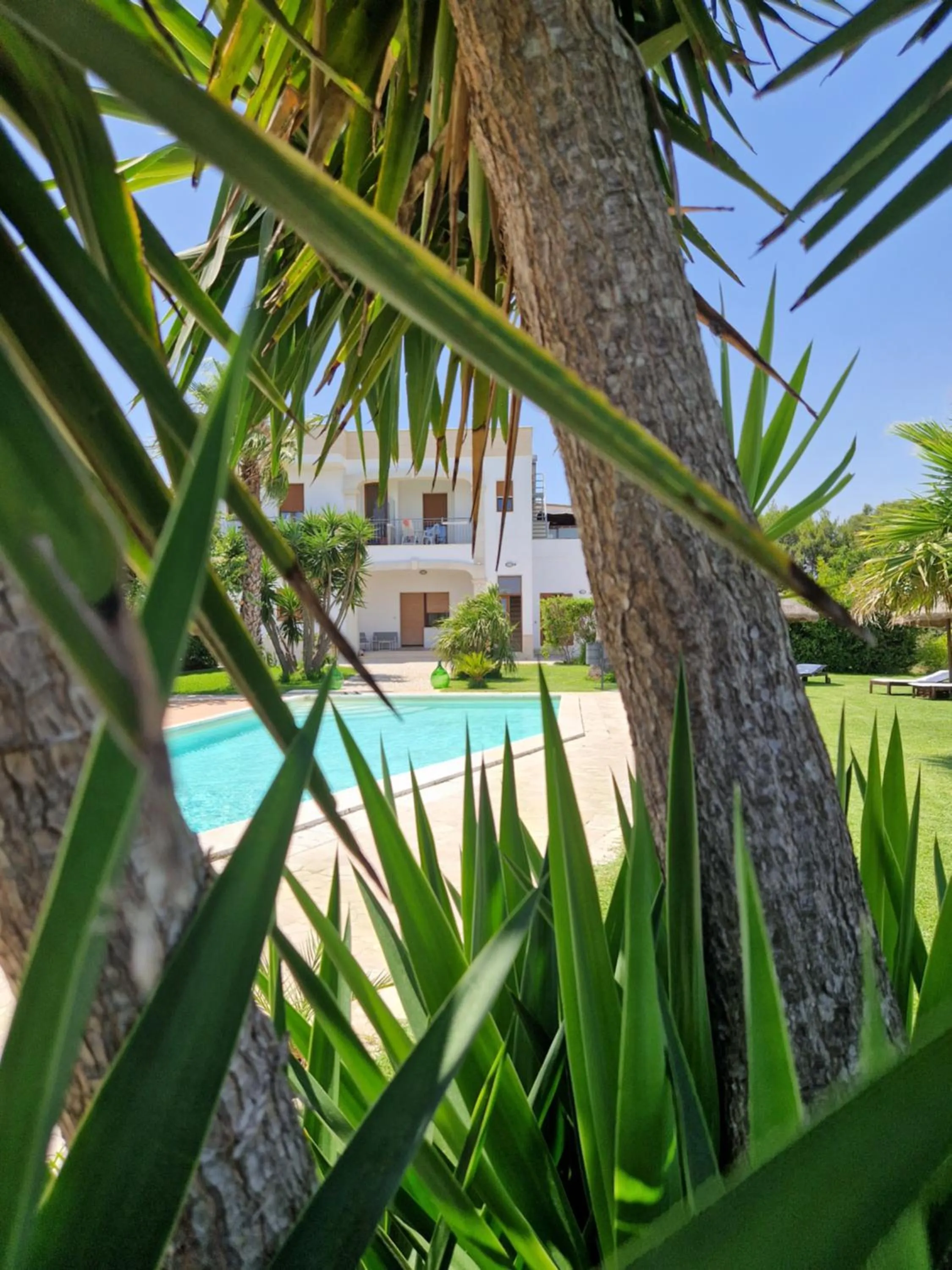 Property building in Aia Grande