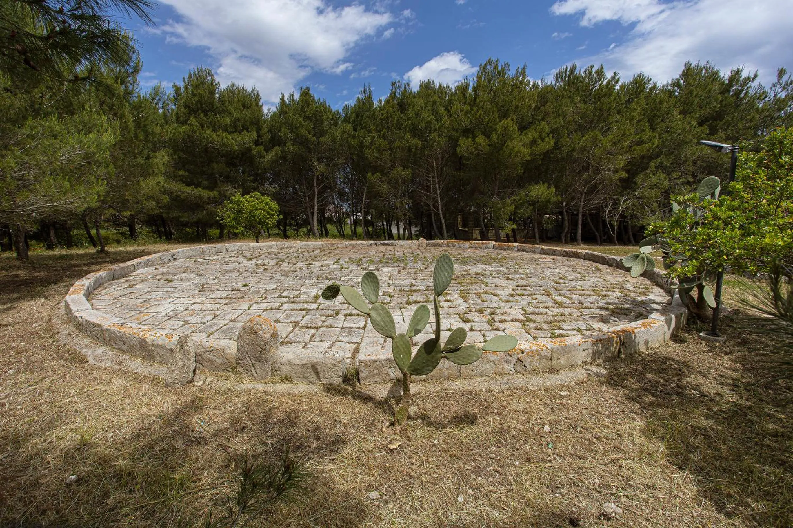 Decorative detail in Aia Grande