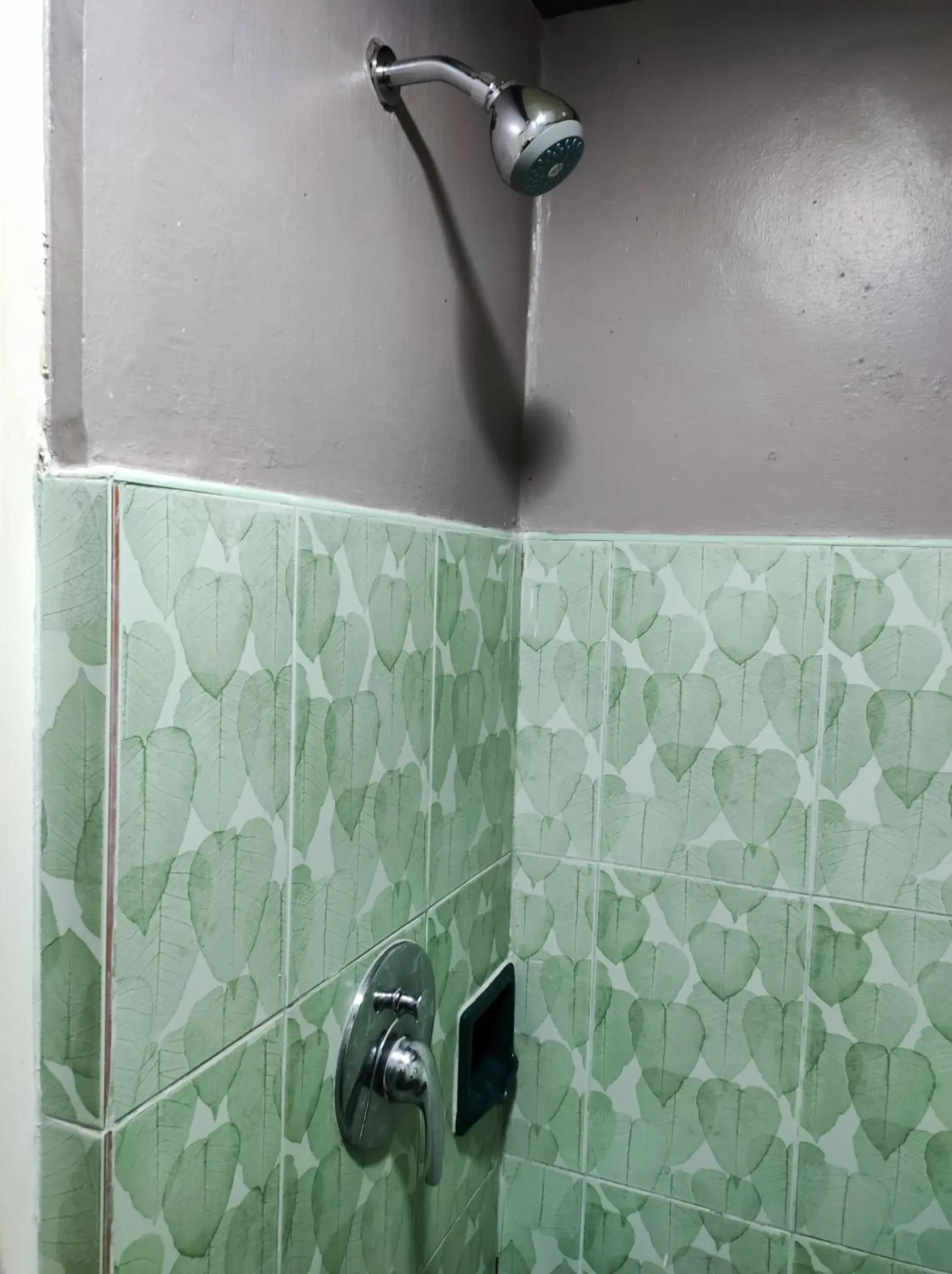 Shower in Parkview Hotel Shower in Parkview Hotel