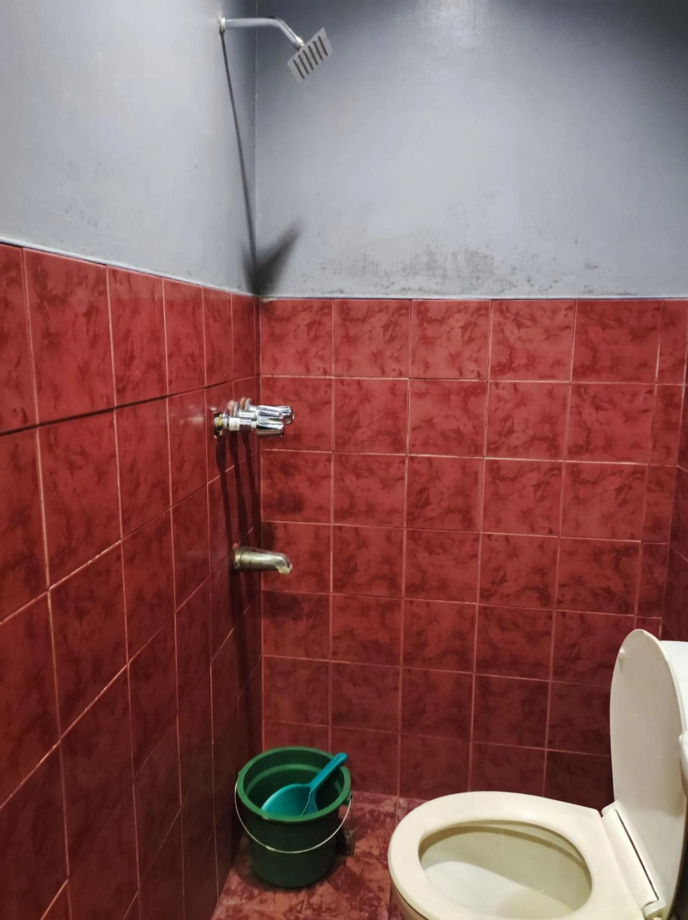 Shower in Parkview Hotel