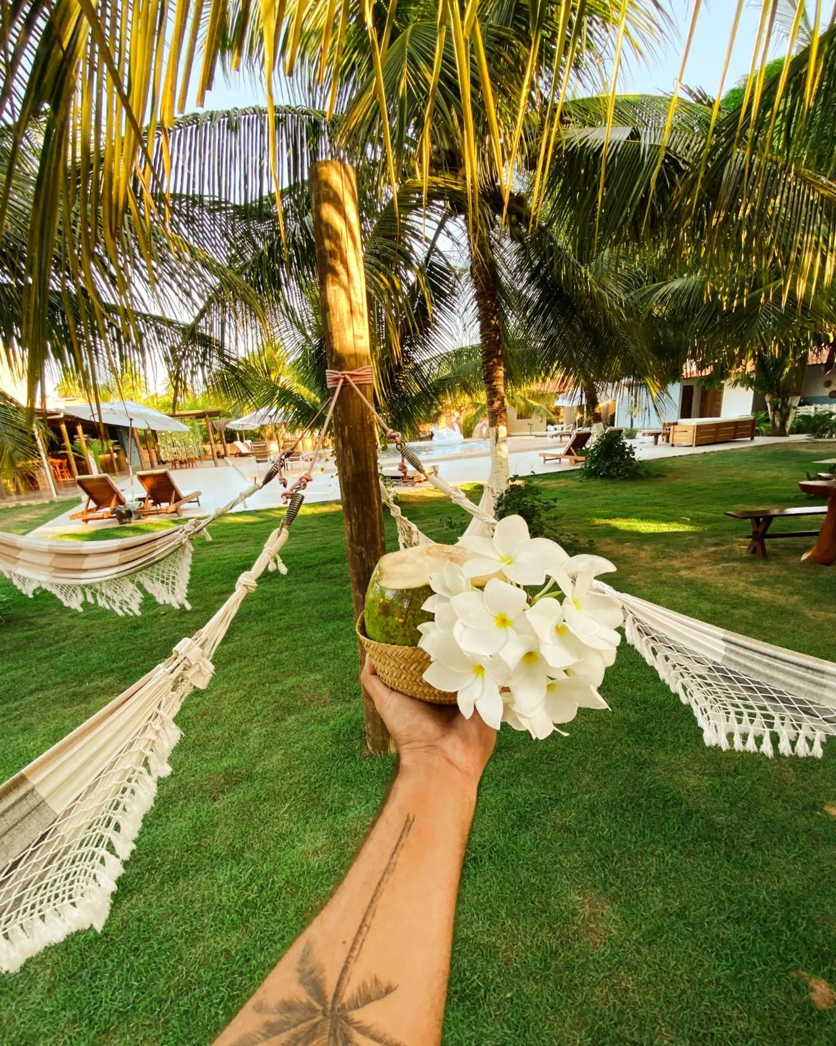 Garden in Pousada o Casarão