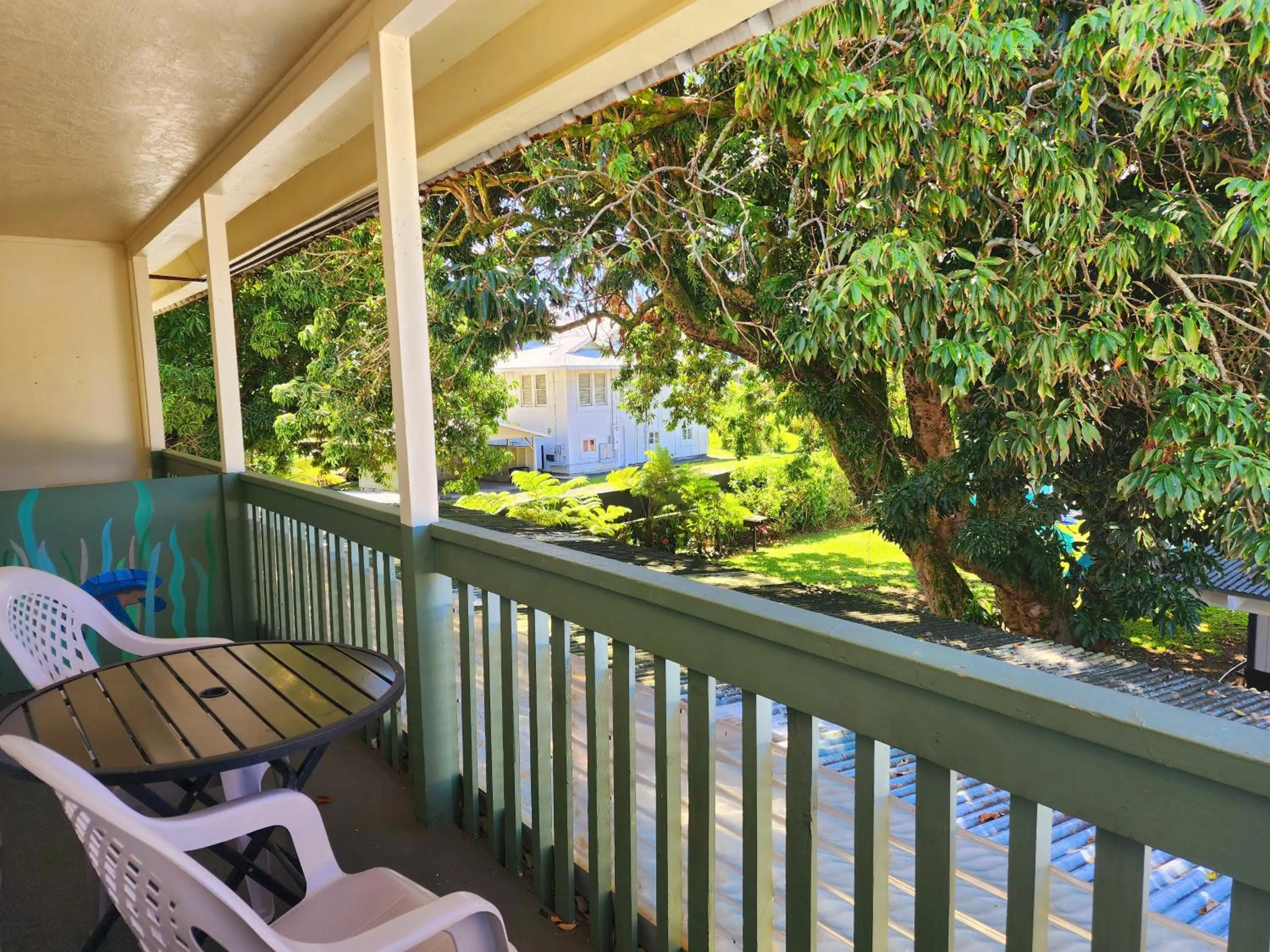 View (from property/room) in Arnott's Lodge & Hiking Adventures