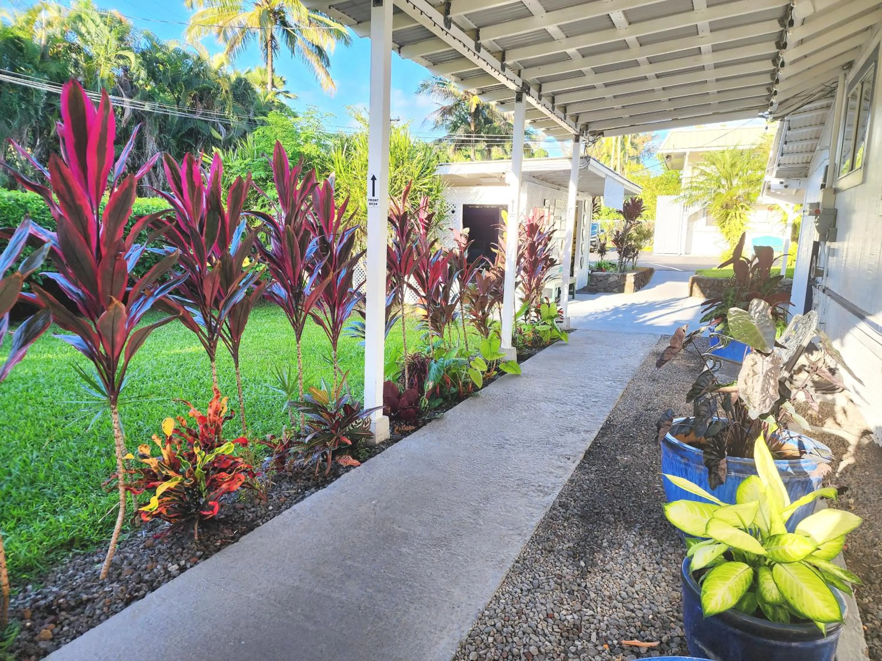 Property building in Arnott's Lodge & Hiking Adventures