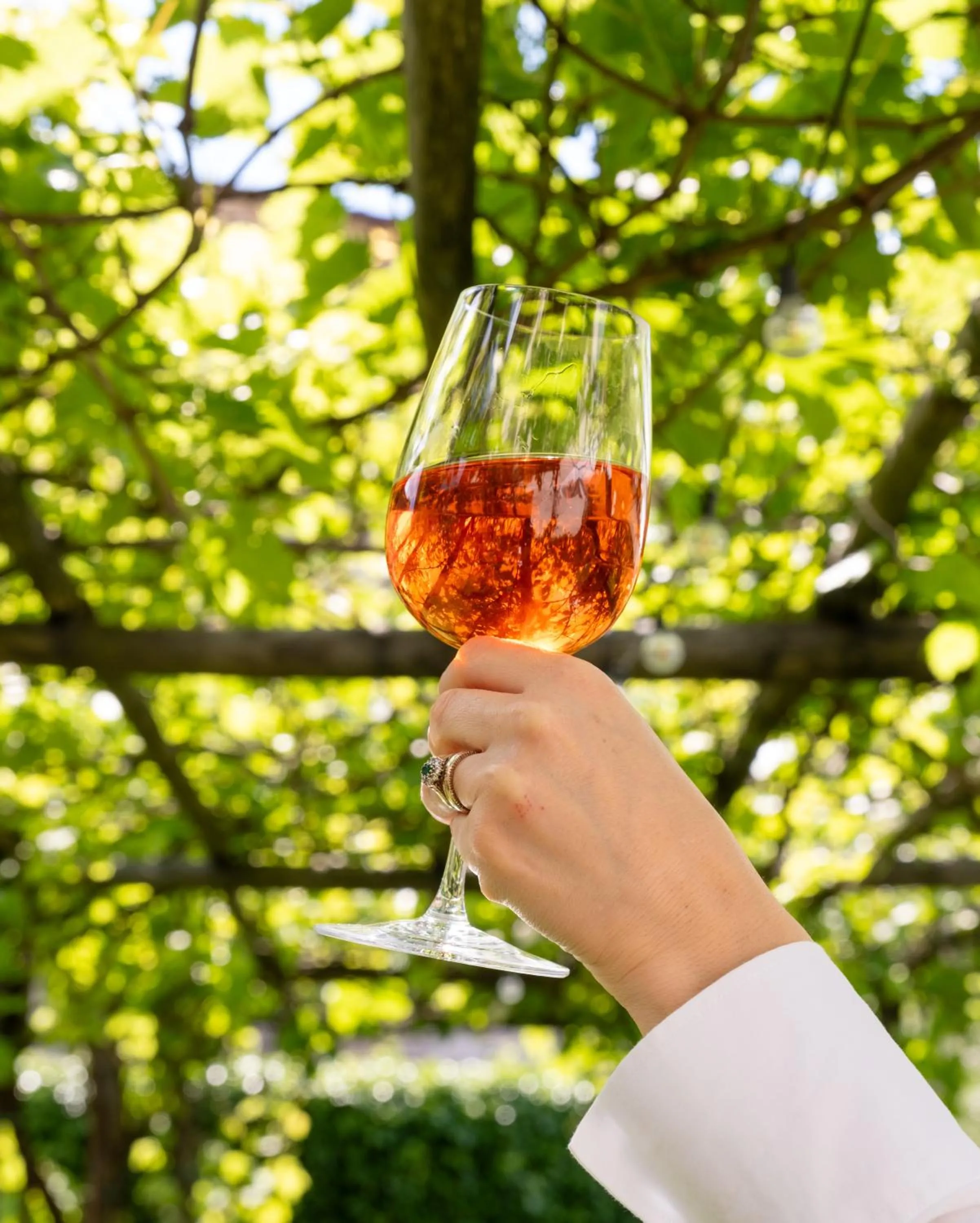 Dinner in Badia Giulia Prestigious Historical B&B, Camaiore - Adults Only - No Pets