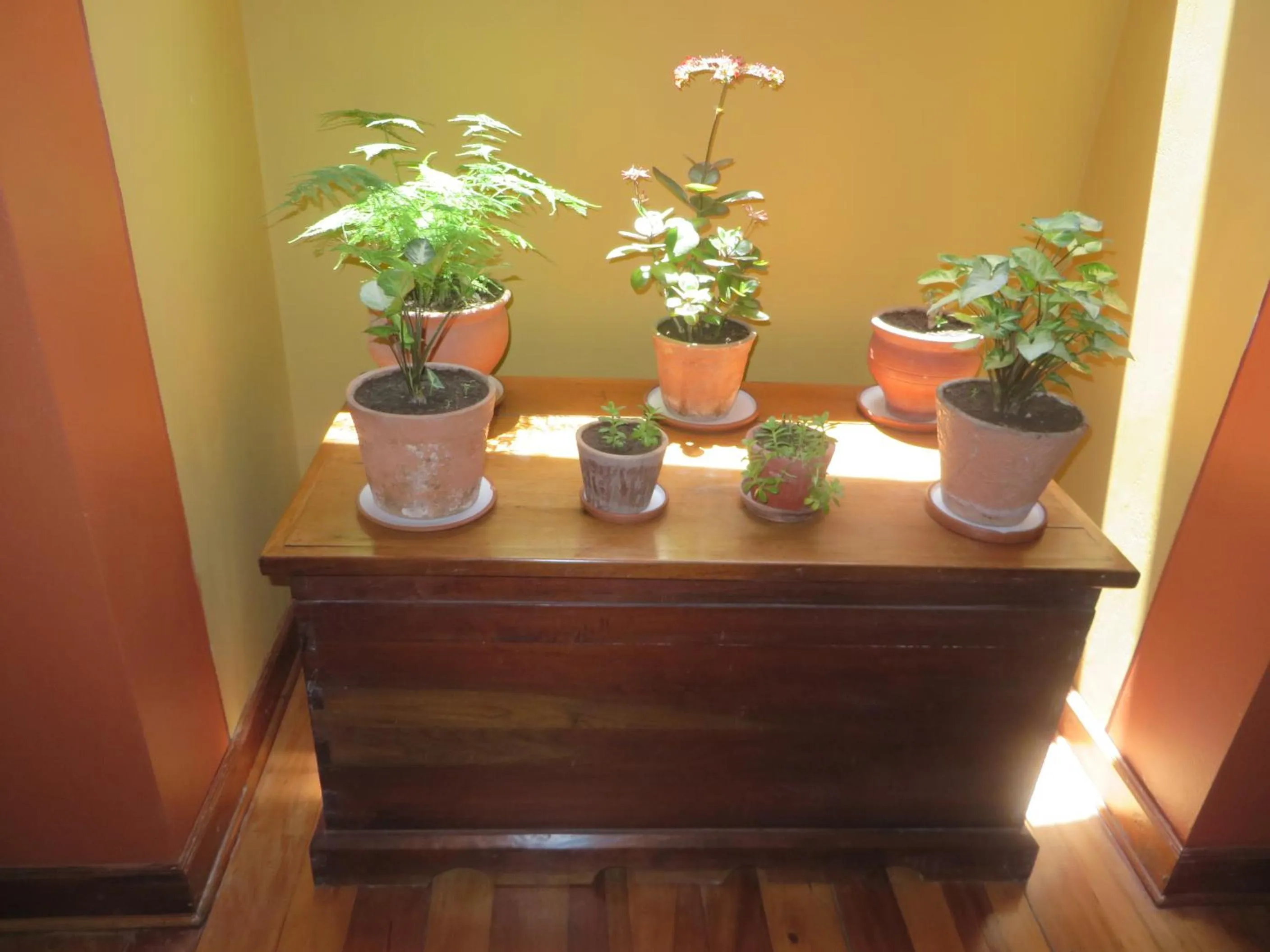 Other in Hotel Pakaritampu