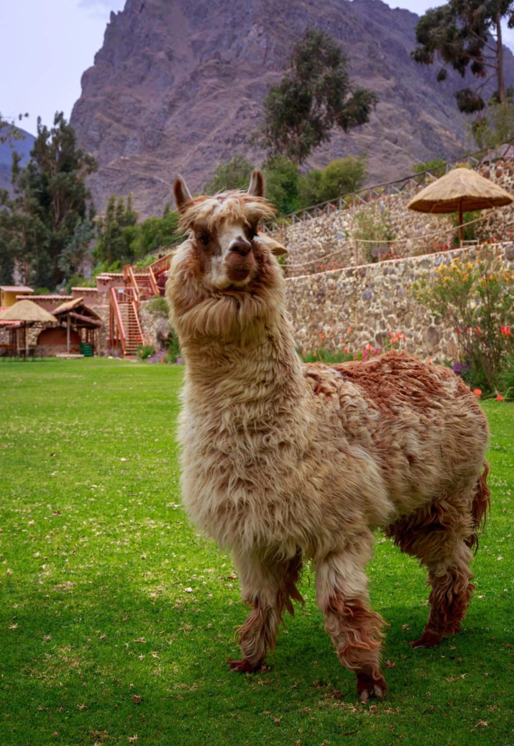 Day in Hotel Pakaritampu