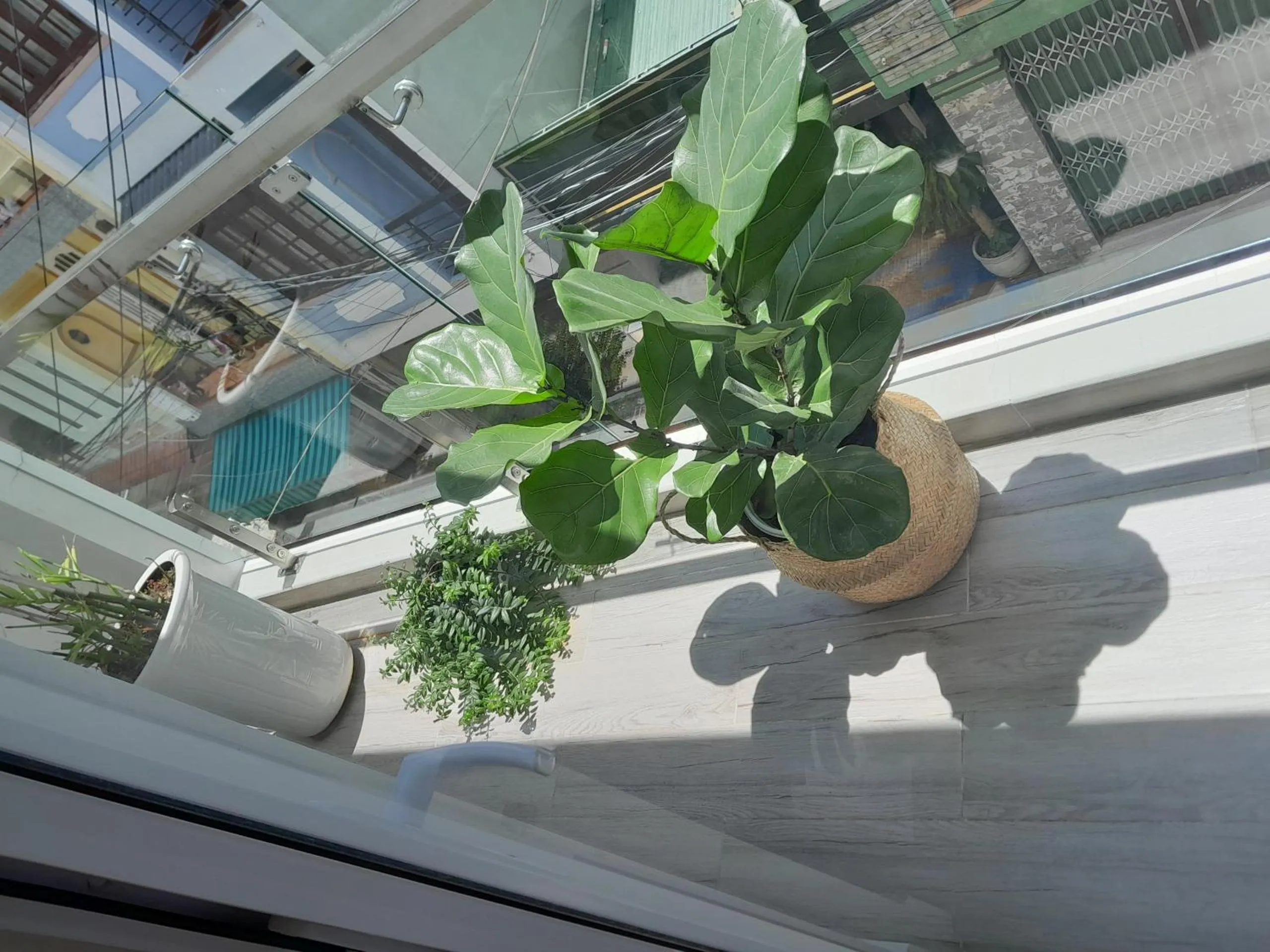 Patio in Nhat Hoang Homestay Da Lat