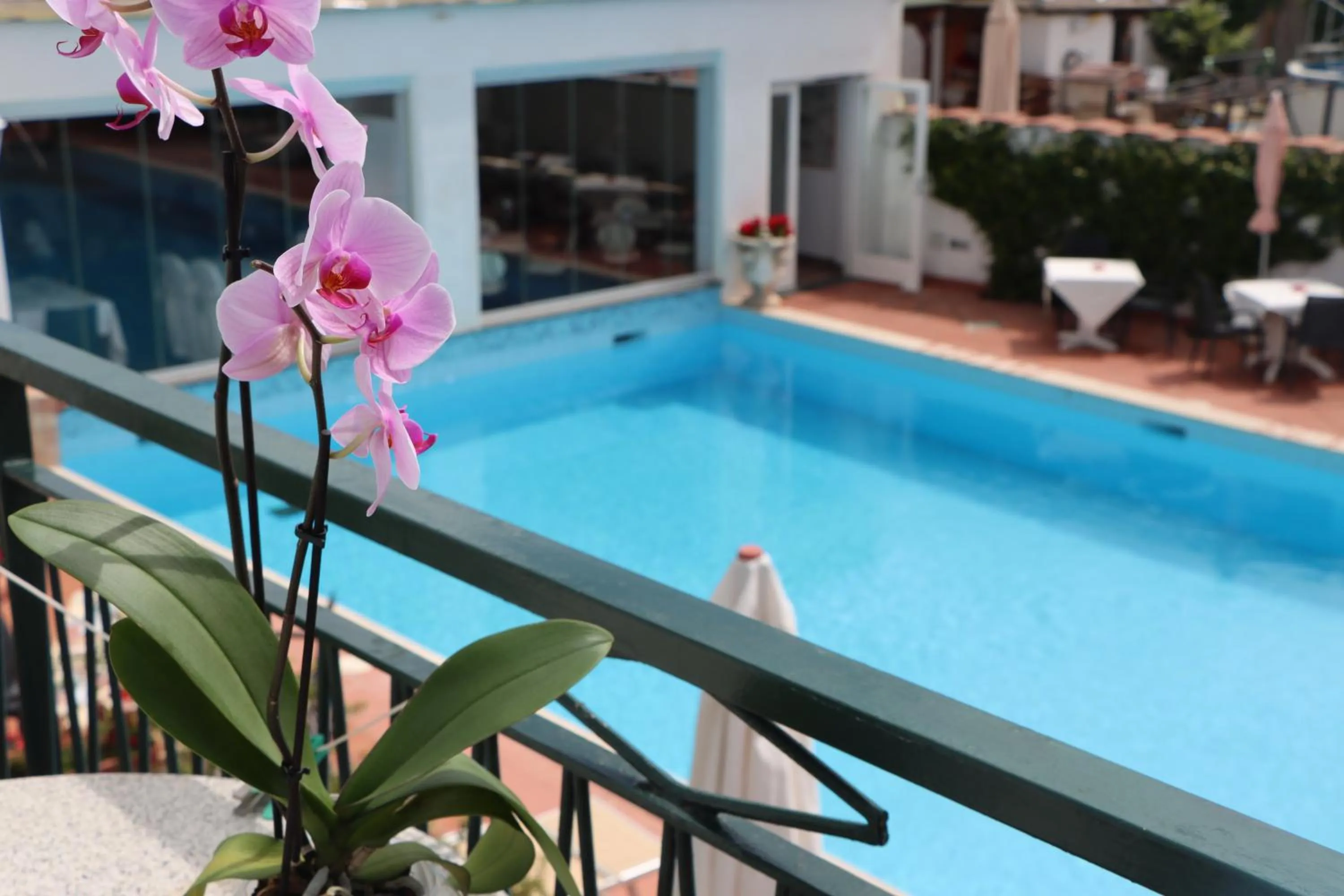 Swimming pool in Hotel Lord Byron