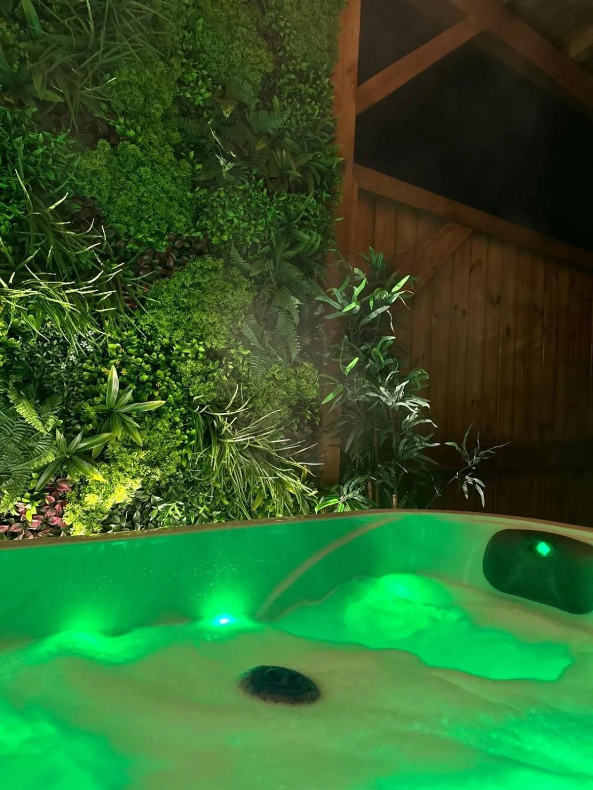Suite Tino - Jacuzzi privé, cabine infrarouge & vue