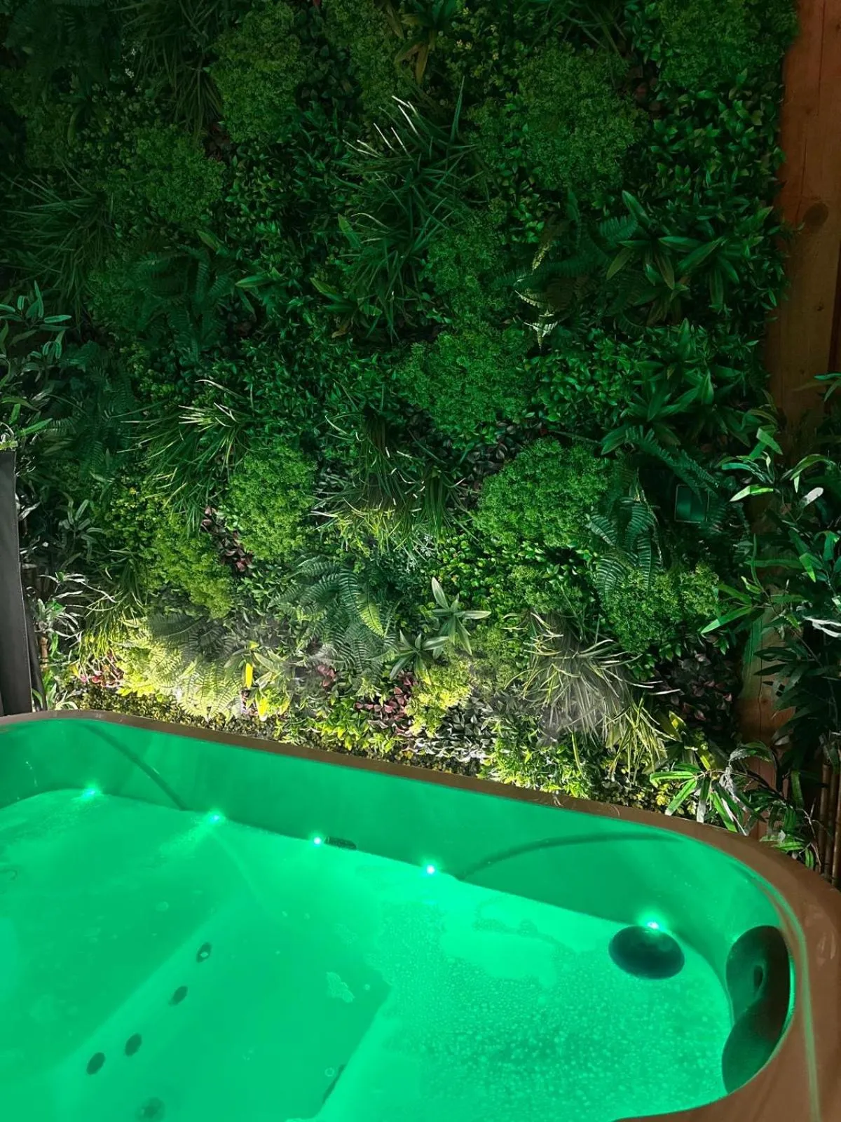 Suite Tino - Jacuzzi privé, cabine infrarouge & vue