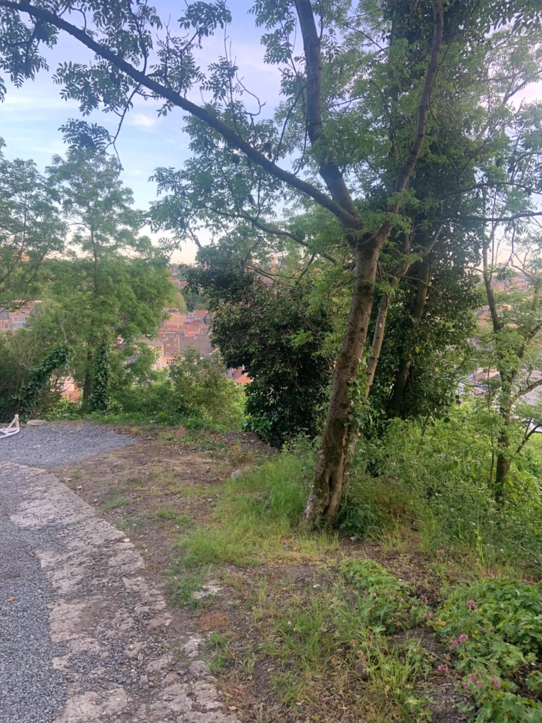 Natural landscape in Suite Tino - Jacuzzi privé, cabine infrarouge & vue