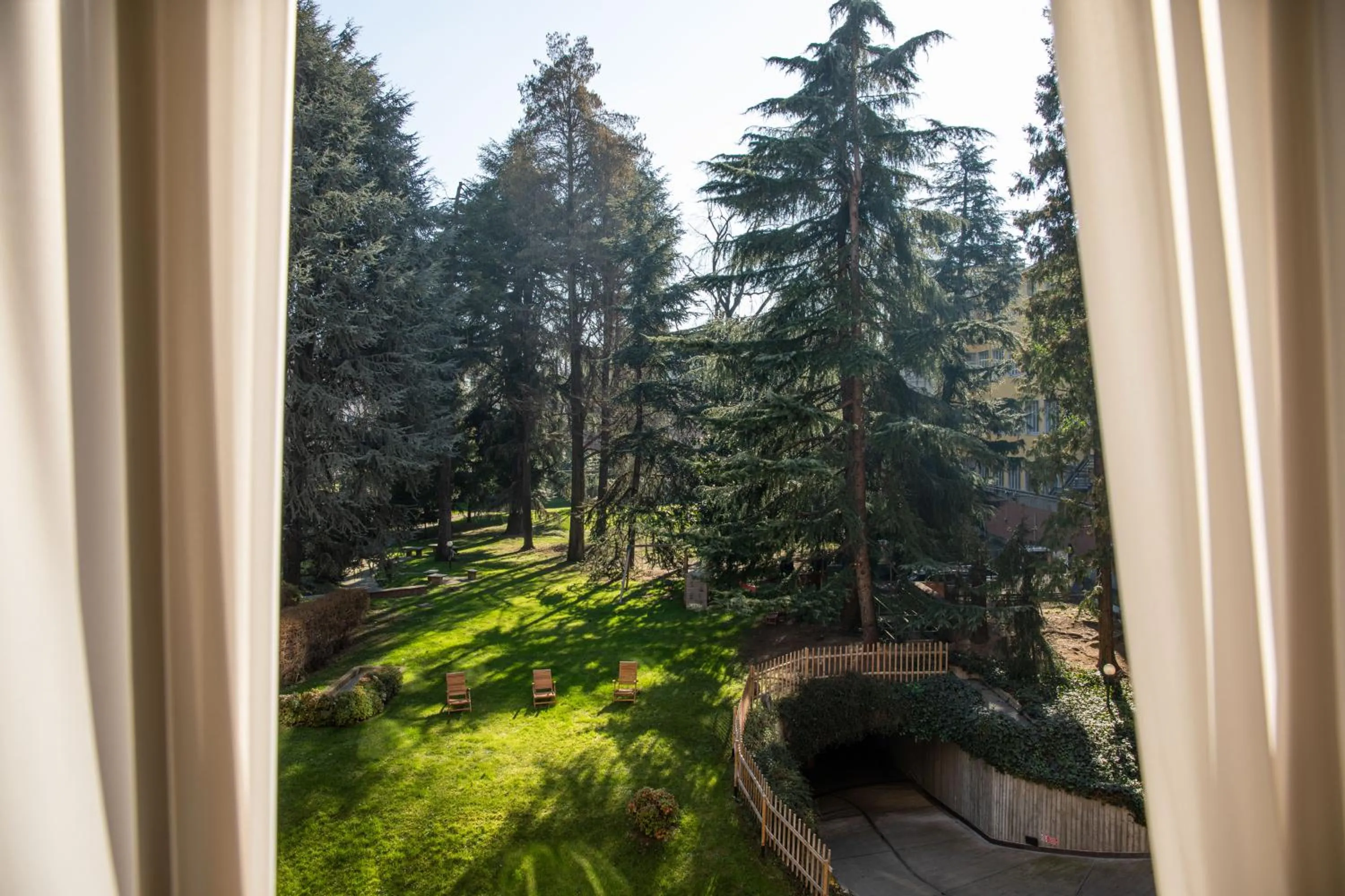 Natural landscape in Hotel Tiziano - Gruppo Mini Hotel