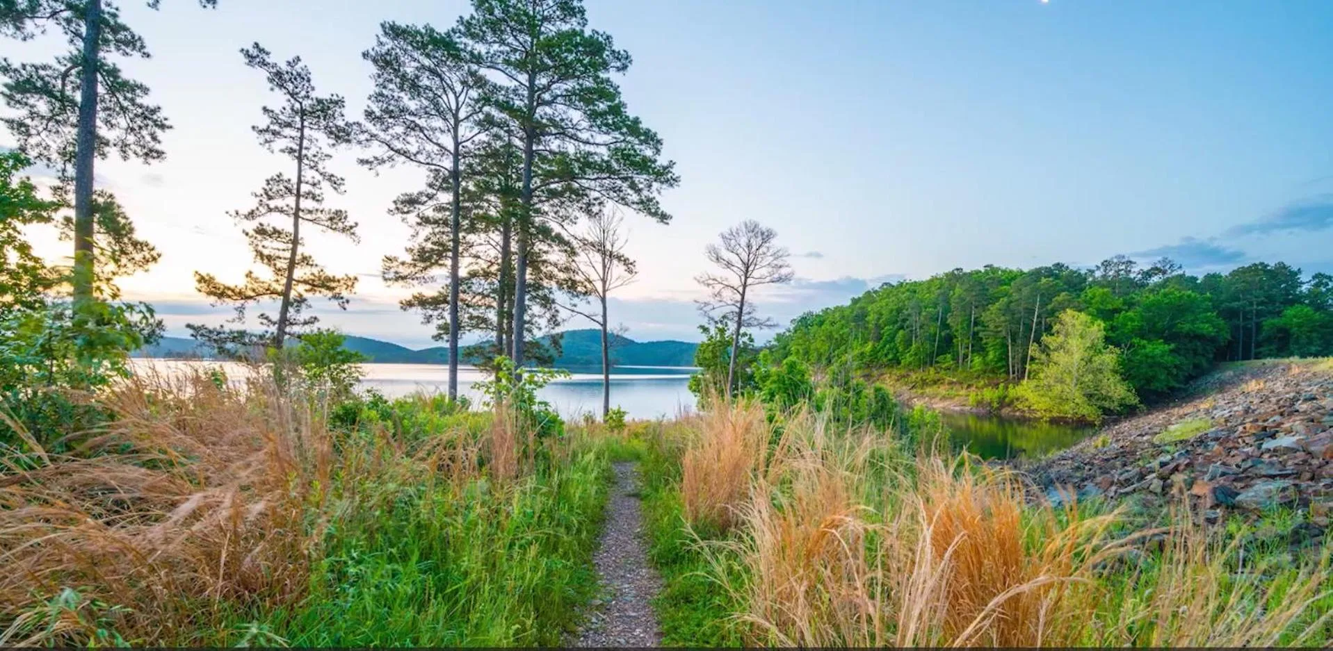 Hickory Bear - Cabin surrounded by pines, Sleeps 10, Hot Tub, Fire Pit, Arcade, Foosball Table & Deck Slide