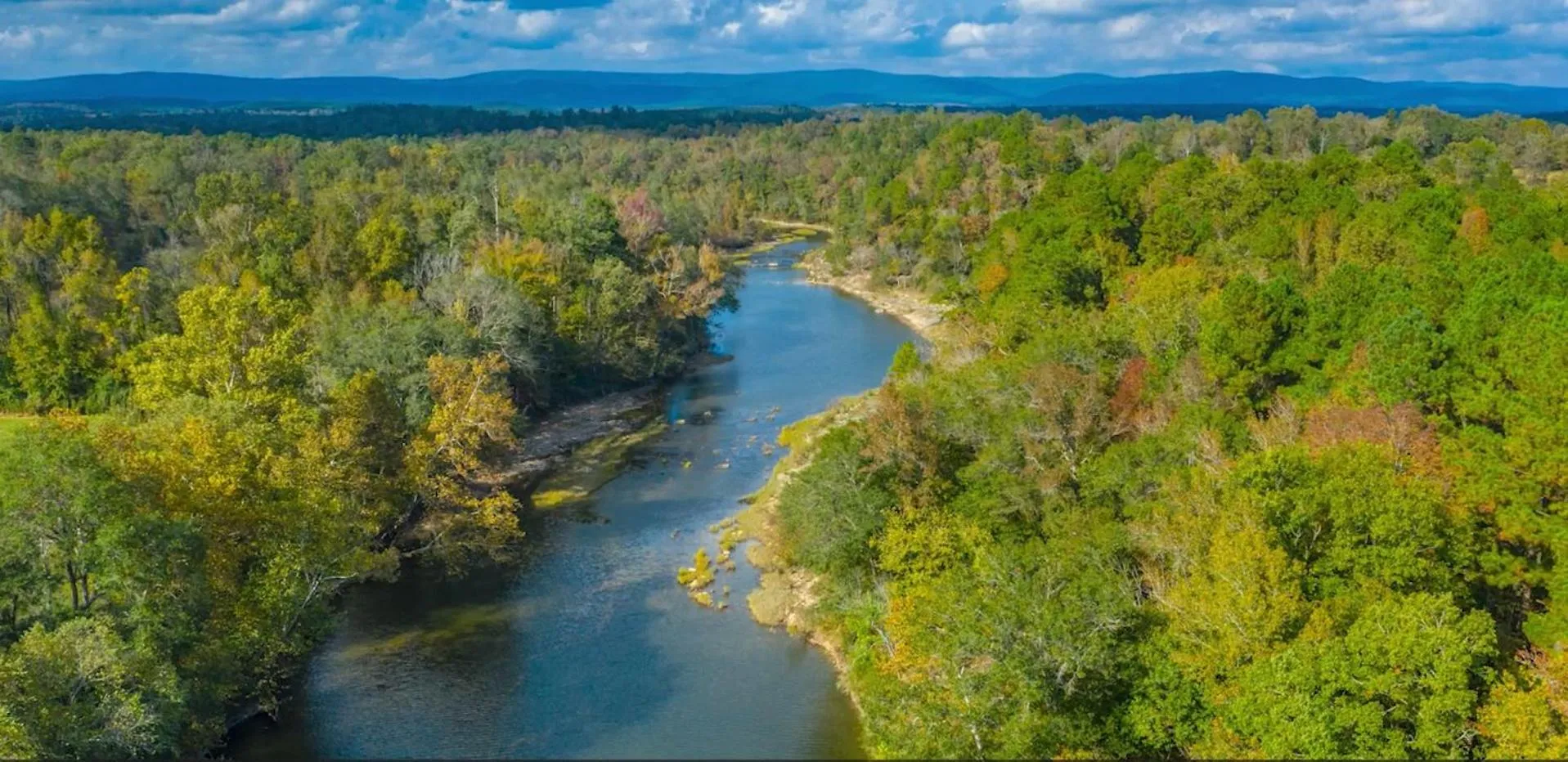 Hickory Bear - Cabin surrounded by pines, Sleeps 10, Hot Tub, Fire Pit, Arcade, Foosball Table & Deck Slide